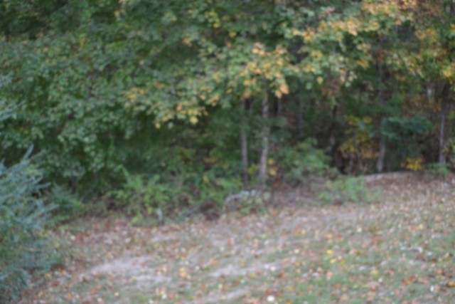 128 Cummins Ct Property Photo 25