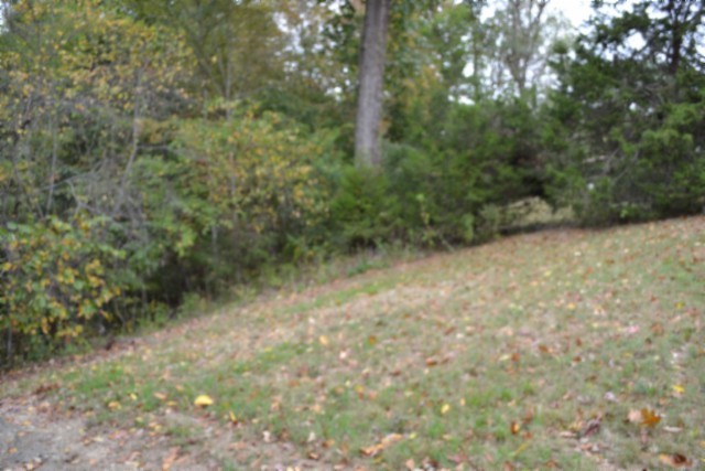 128 Cummins Ct Property Photo 26