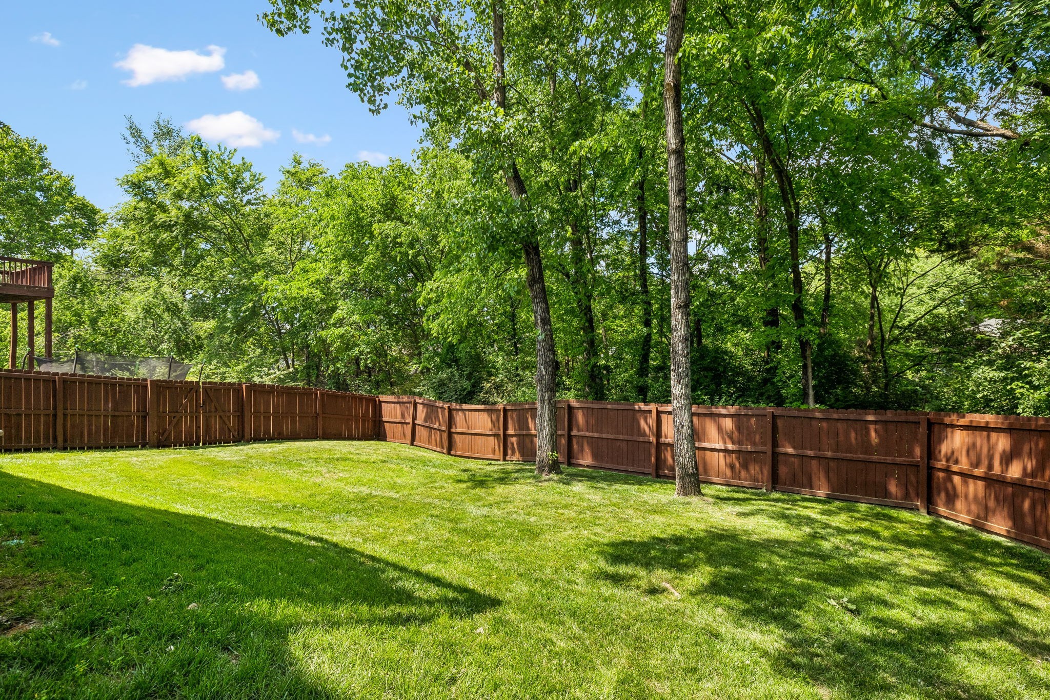 2521 Edinburgh Street Property Photo 53