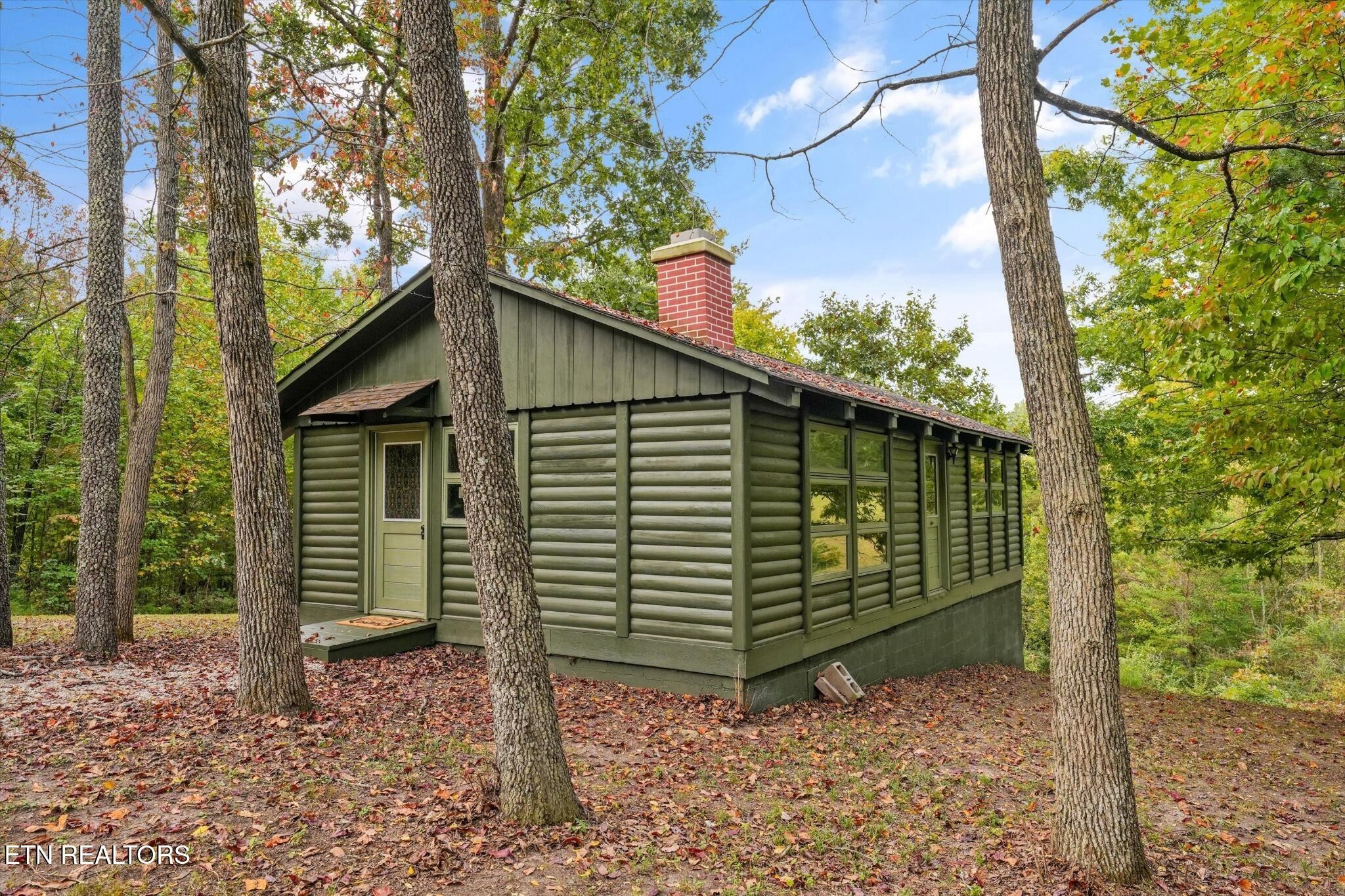 225 Pleasant View Loop Property Photo 22