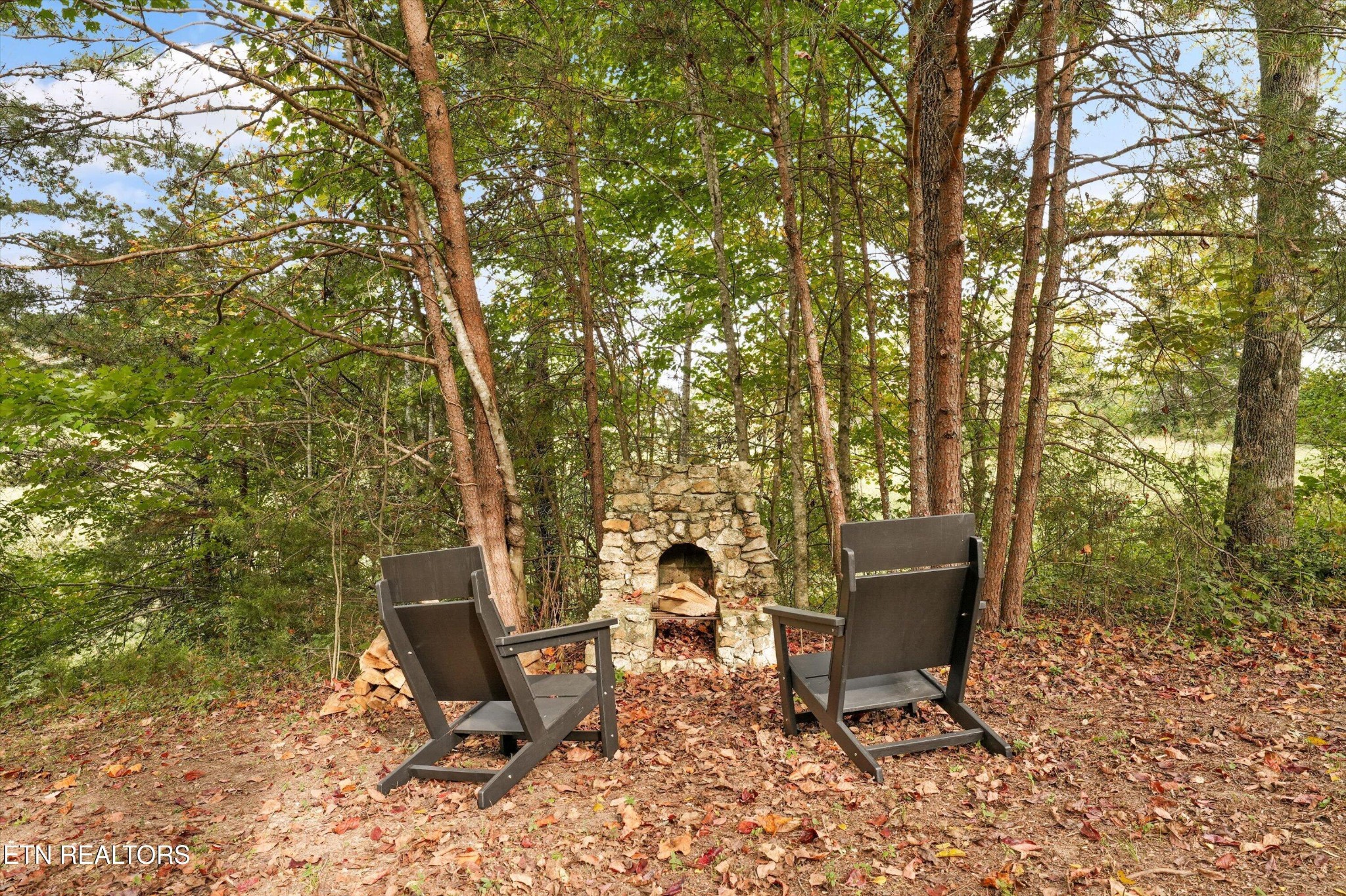 225 Pleasant View Loop Property Photo 25