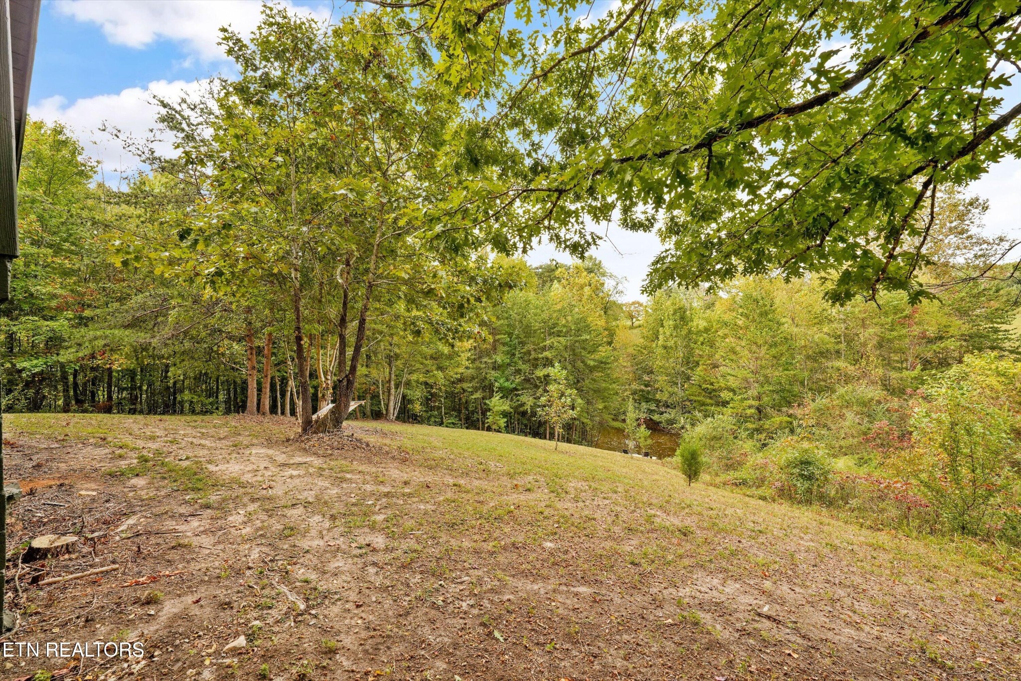 225 Pleasant View Loop Property Photo 26
