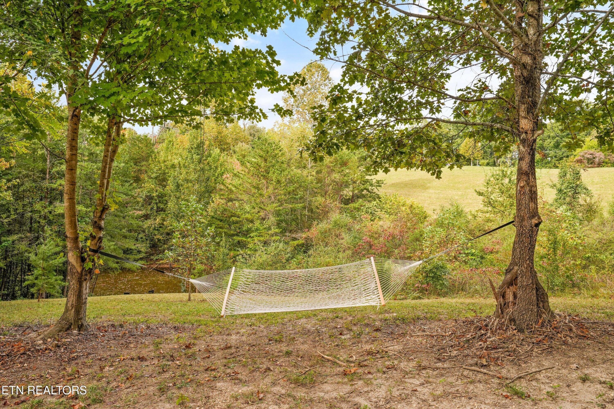 225 Pleasant View Loop Property Photo 27