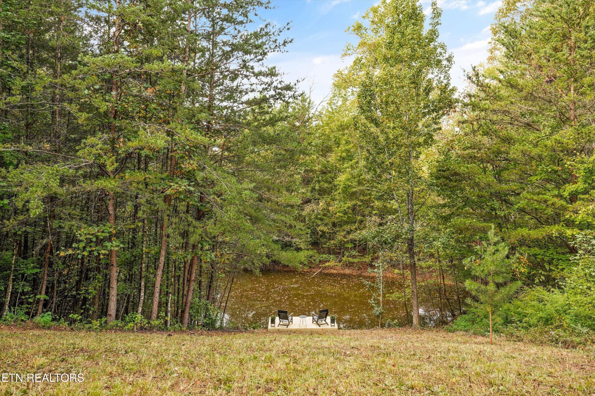 225 Pleasant View Loop Property Photo 28