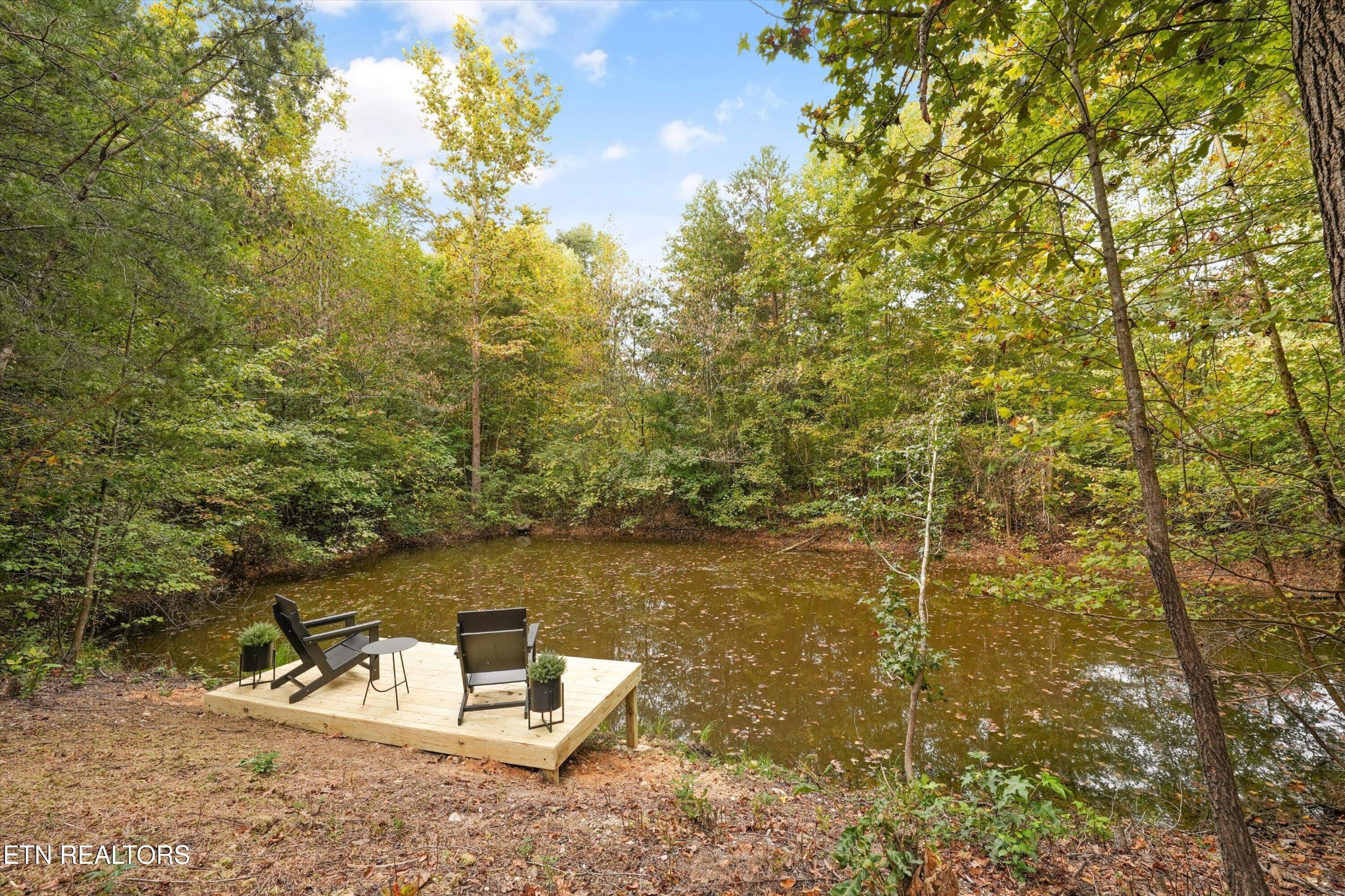 225 Pleasant View Loop Property Photo 29