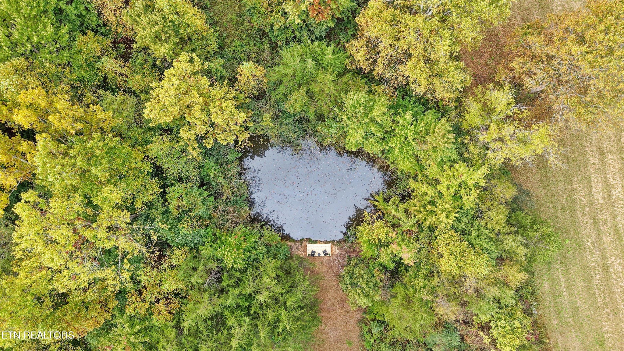 225 Pleasant View Loop Property Photo 35