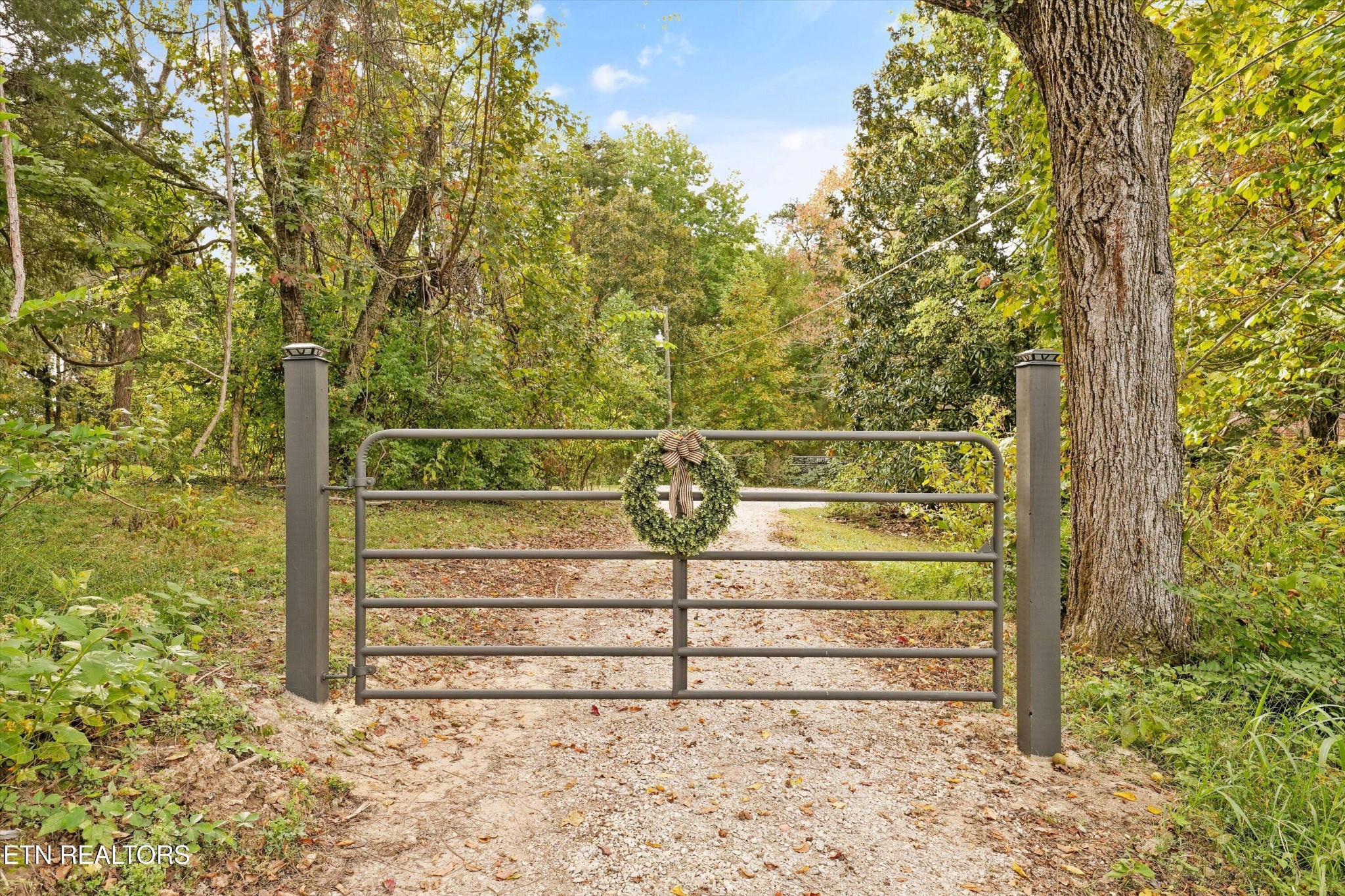 225 Pleasant View Loop Property Photo 41