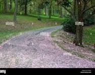 1 Anglin Branch Property Photo 2