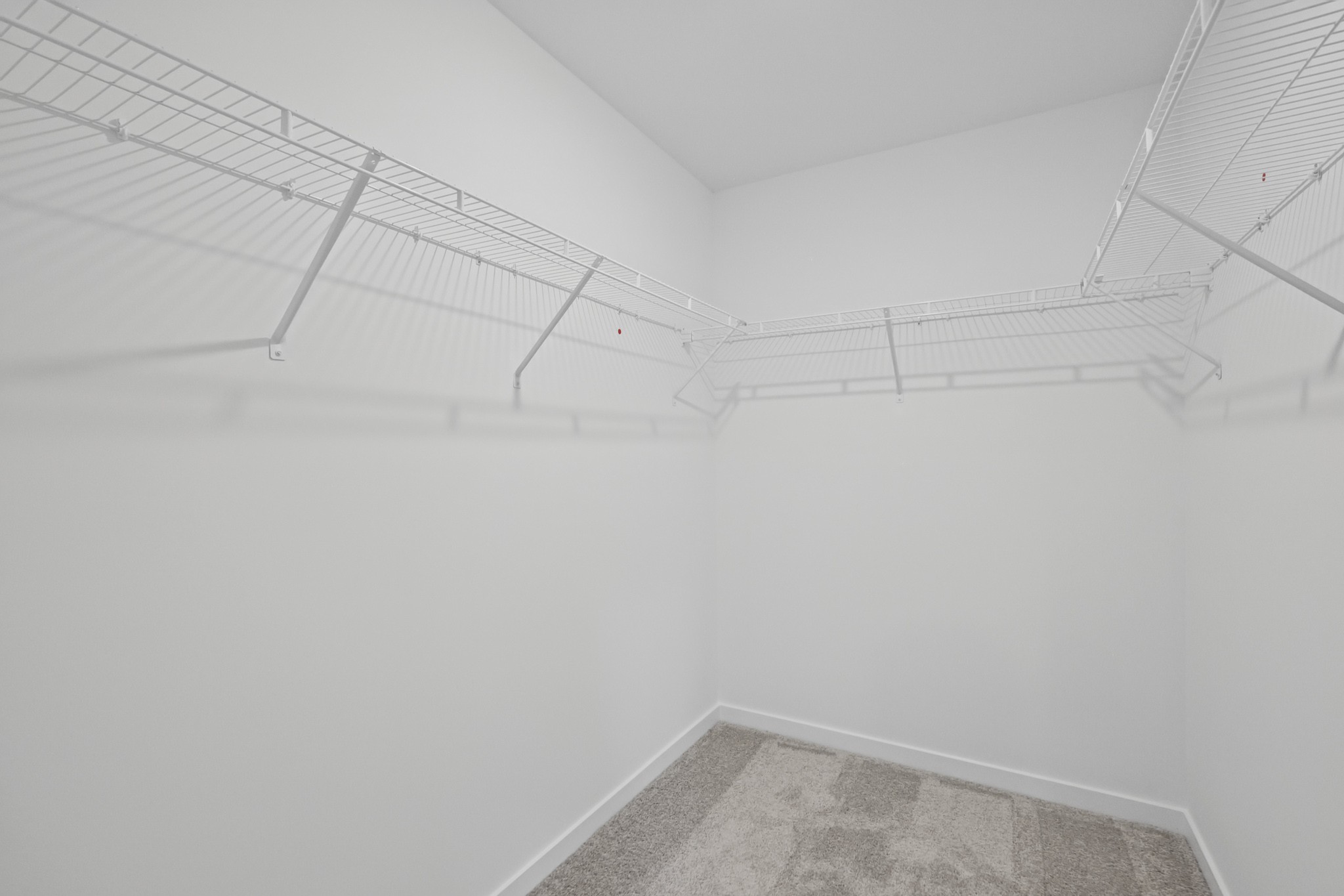 2952 Dandy Lane Property Photo 15