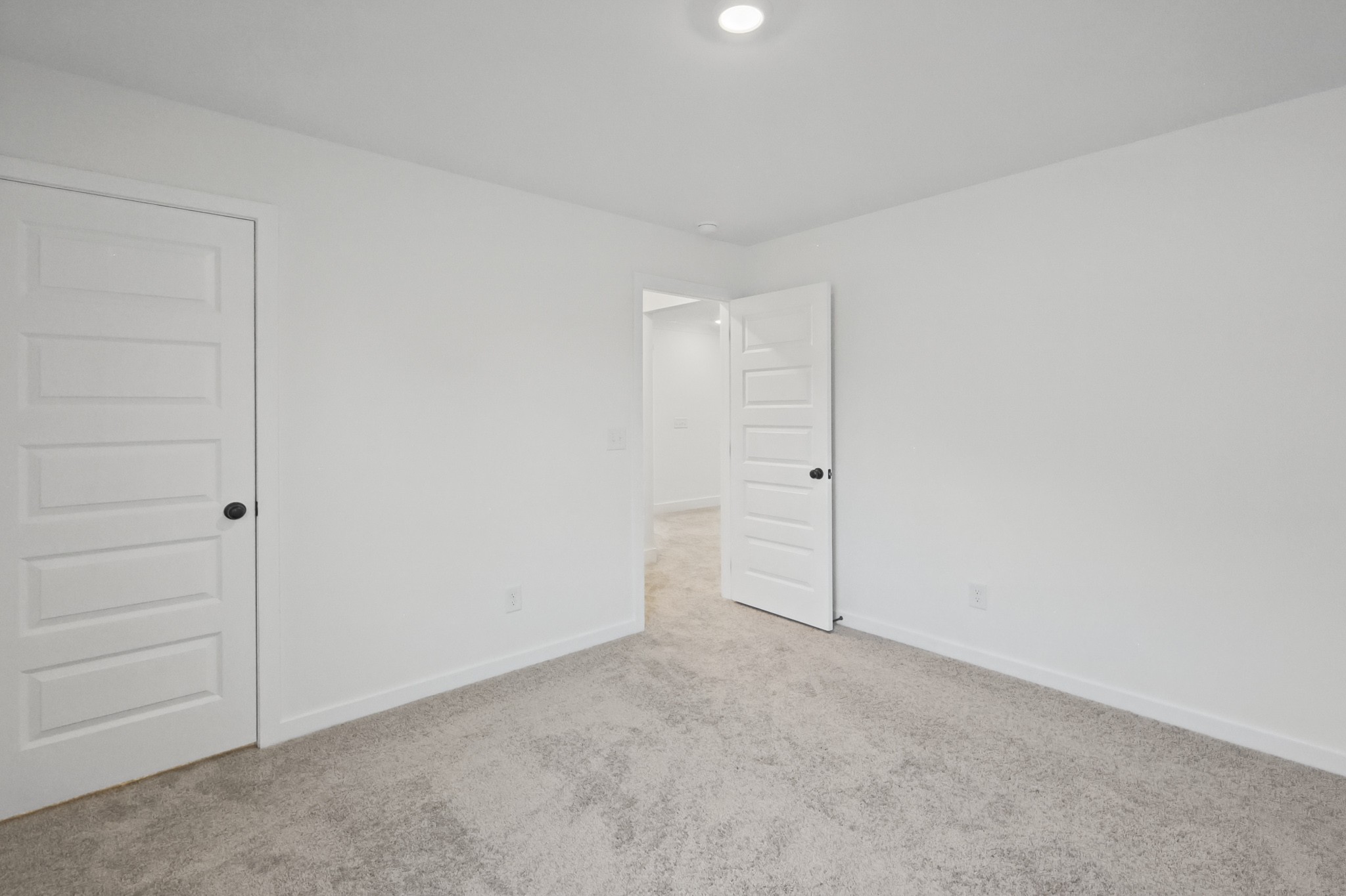 2952 Dandy Lane Property Photo 21
