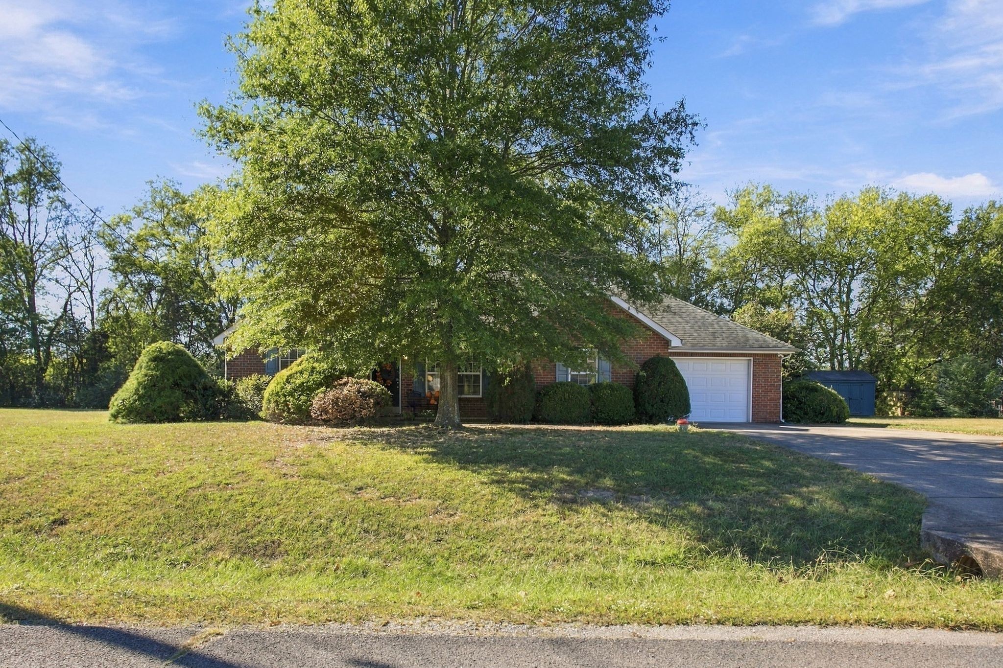 1020 Graham Way Property Photo 22