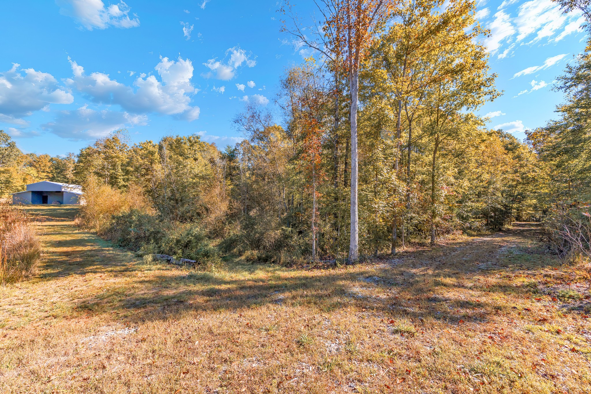 544 County Road 105 Property Photo 30