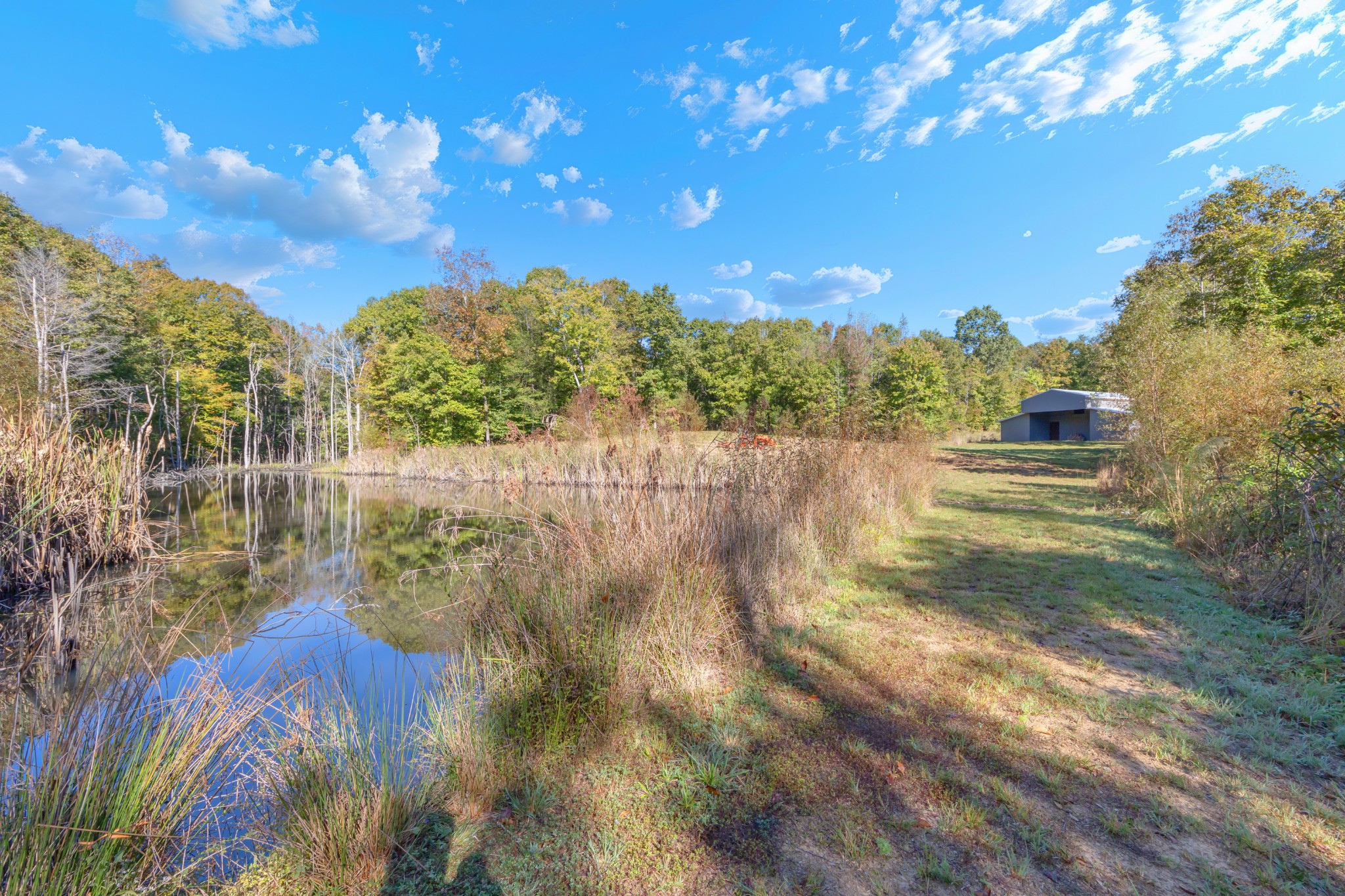 544 County Road 105 Property Photo 31
