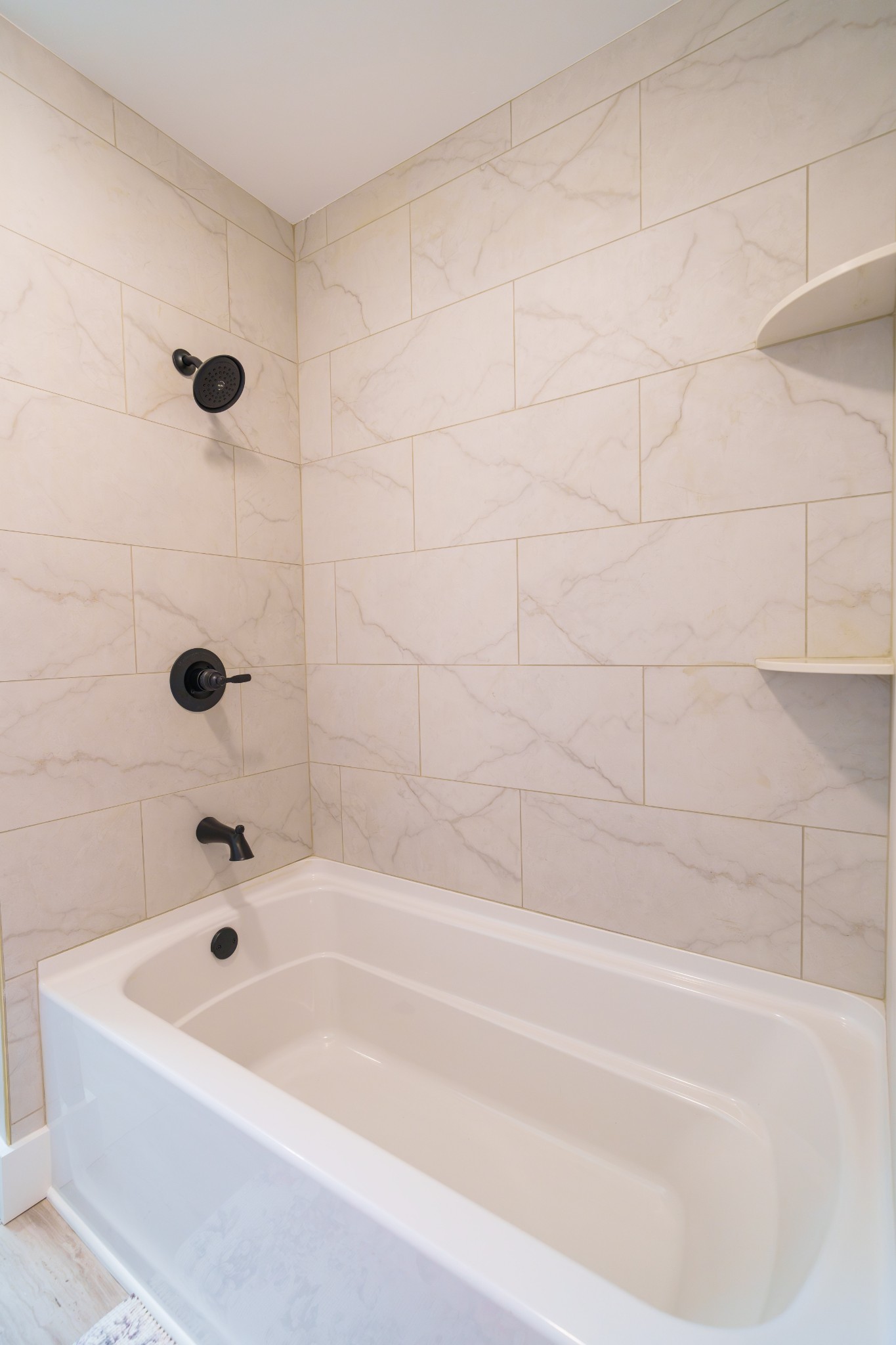 2519 Candyland Cir Property Photo 23