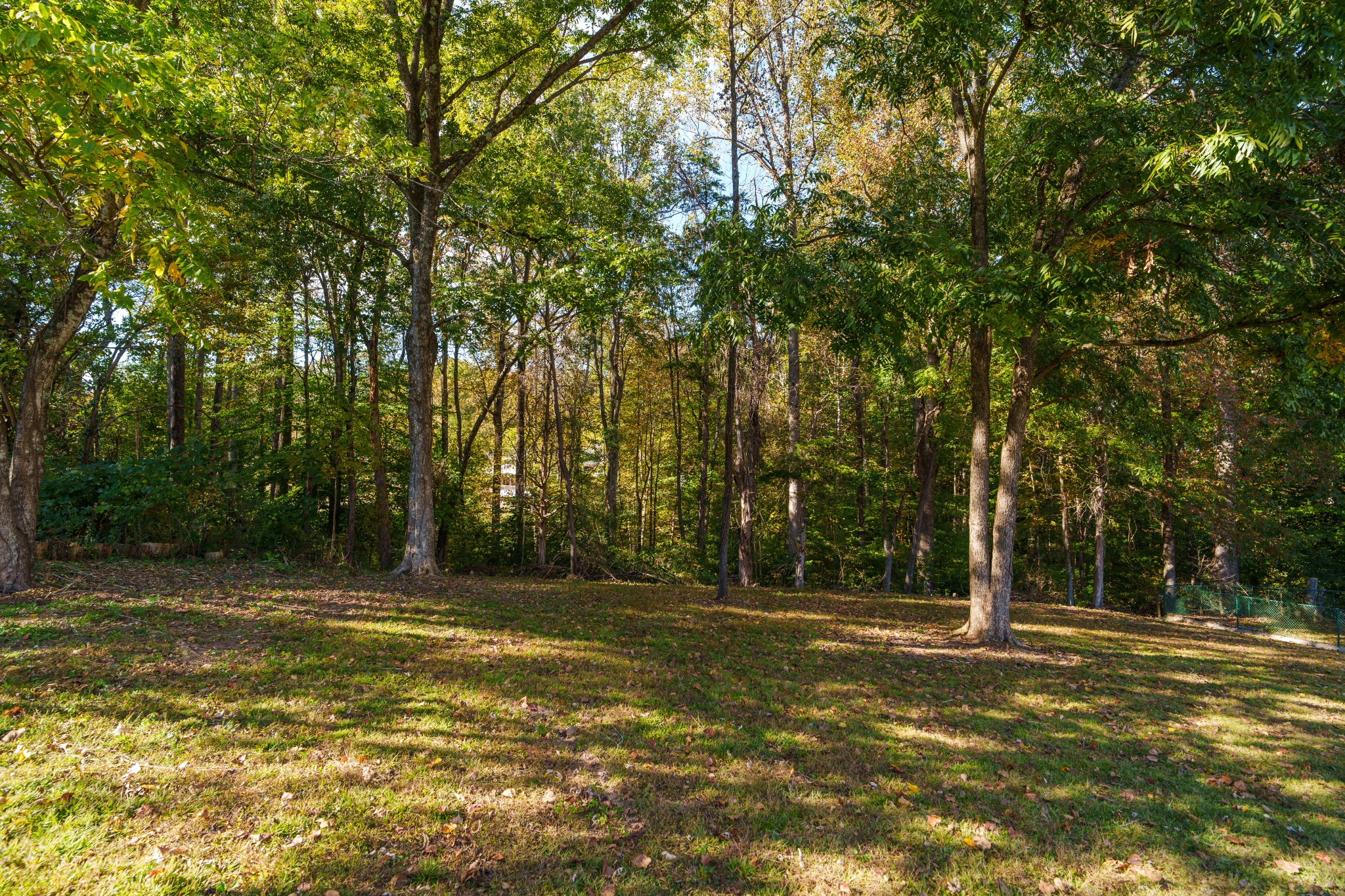 2519 Candyland Cir Property Photo 41