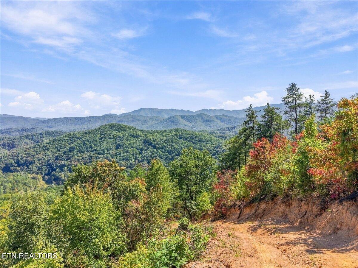 462 Middle Creek Rd Property Photo 53
