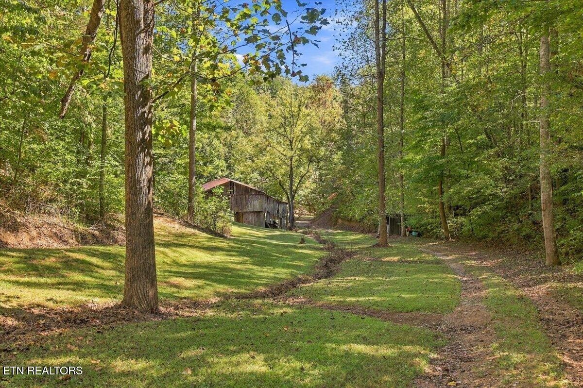 462 Middle Creek Rd Property Photo 55