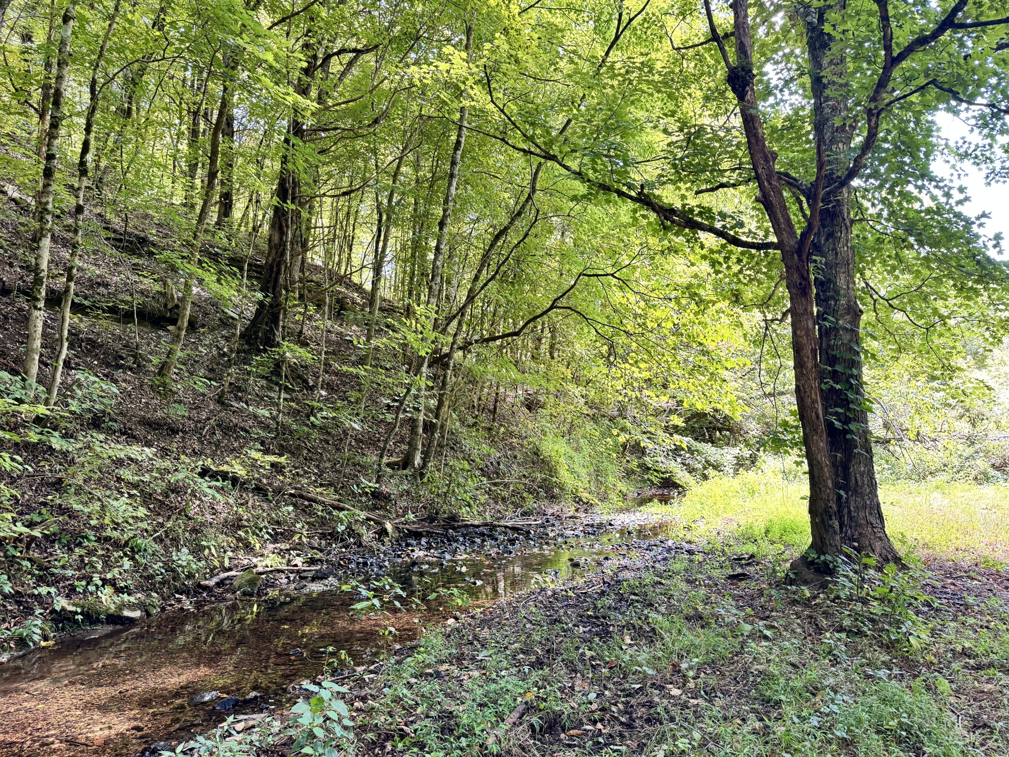 3261 Waterfall Creek Rd Property Photo 4