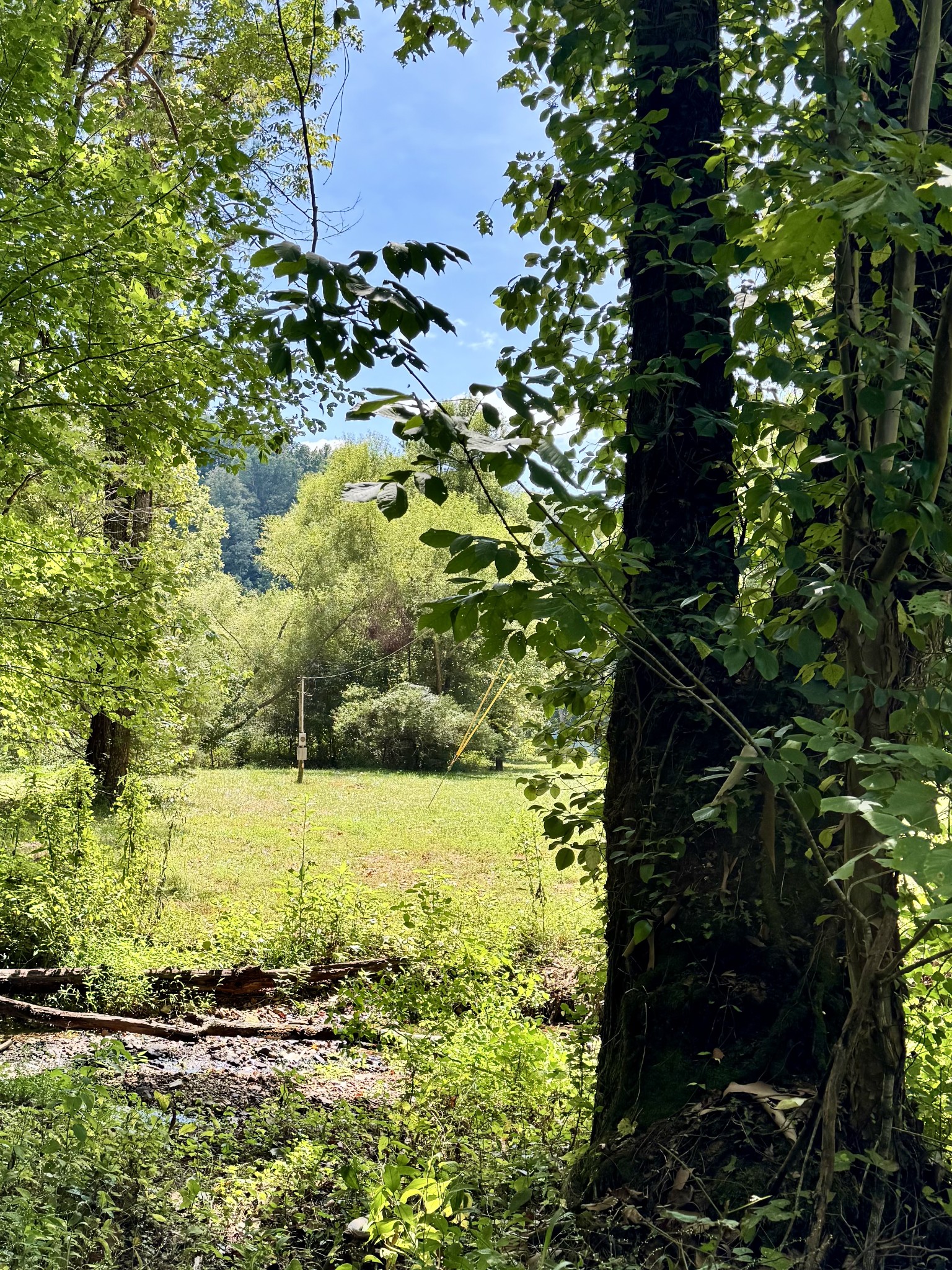 3261 Waterfall Creek Rd Property Photo 6