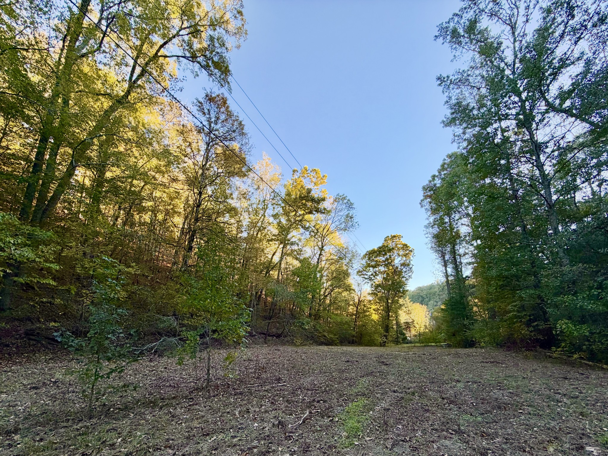 3261 Waterfall Creek Rd Property Photo 7