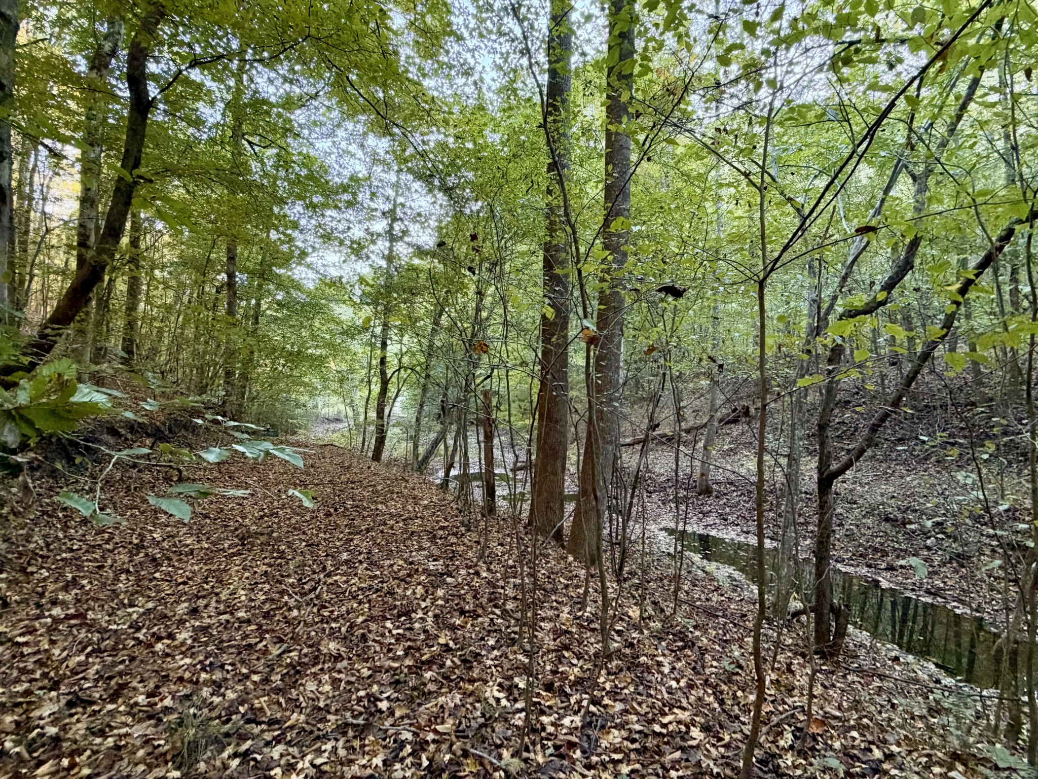 3261 Waterfall Creek Rd Property Photo 9