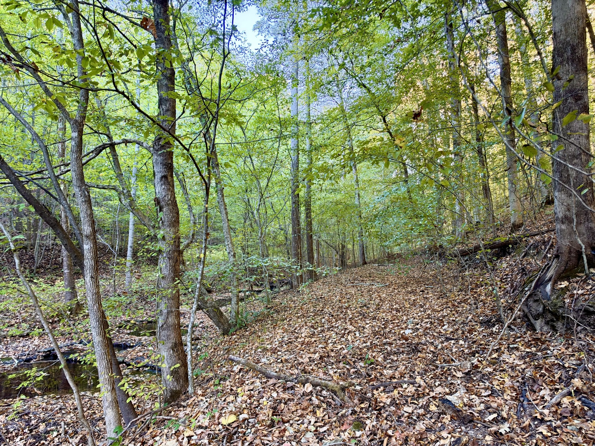 3261 Waterfall Creek Rd Property Photo 11