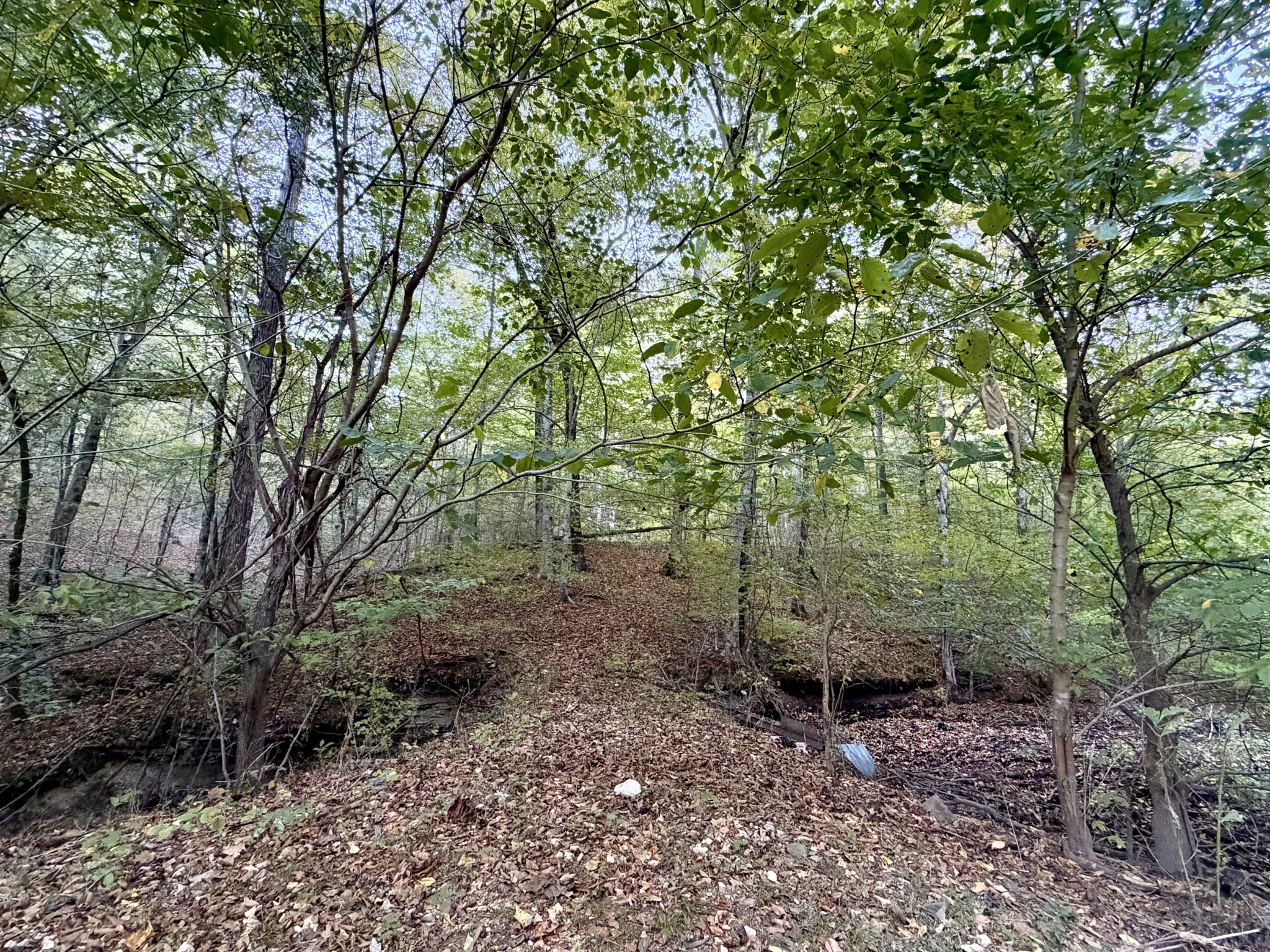 3261 Waterfall Creek Rd Property Photo 13