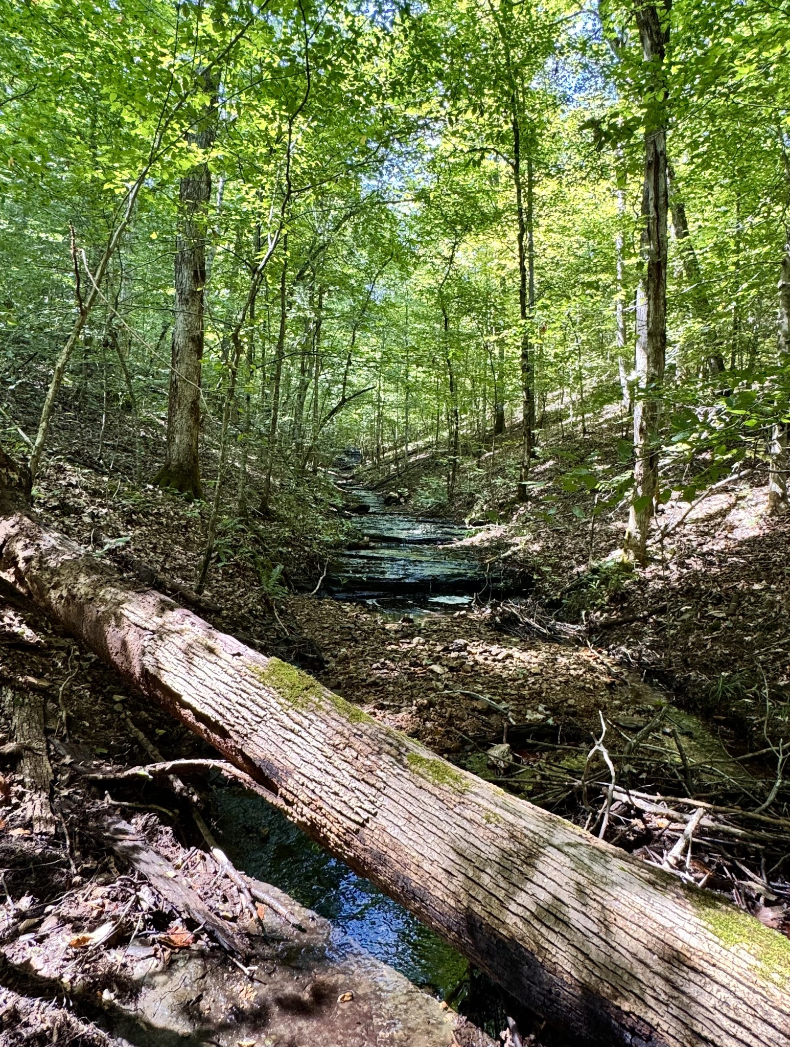 3261 Waterfall Creek Rd Property Photo 14