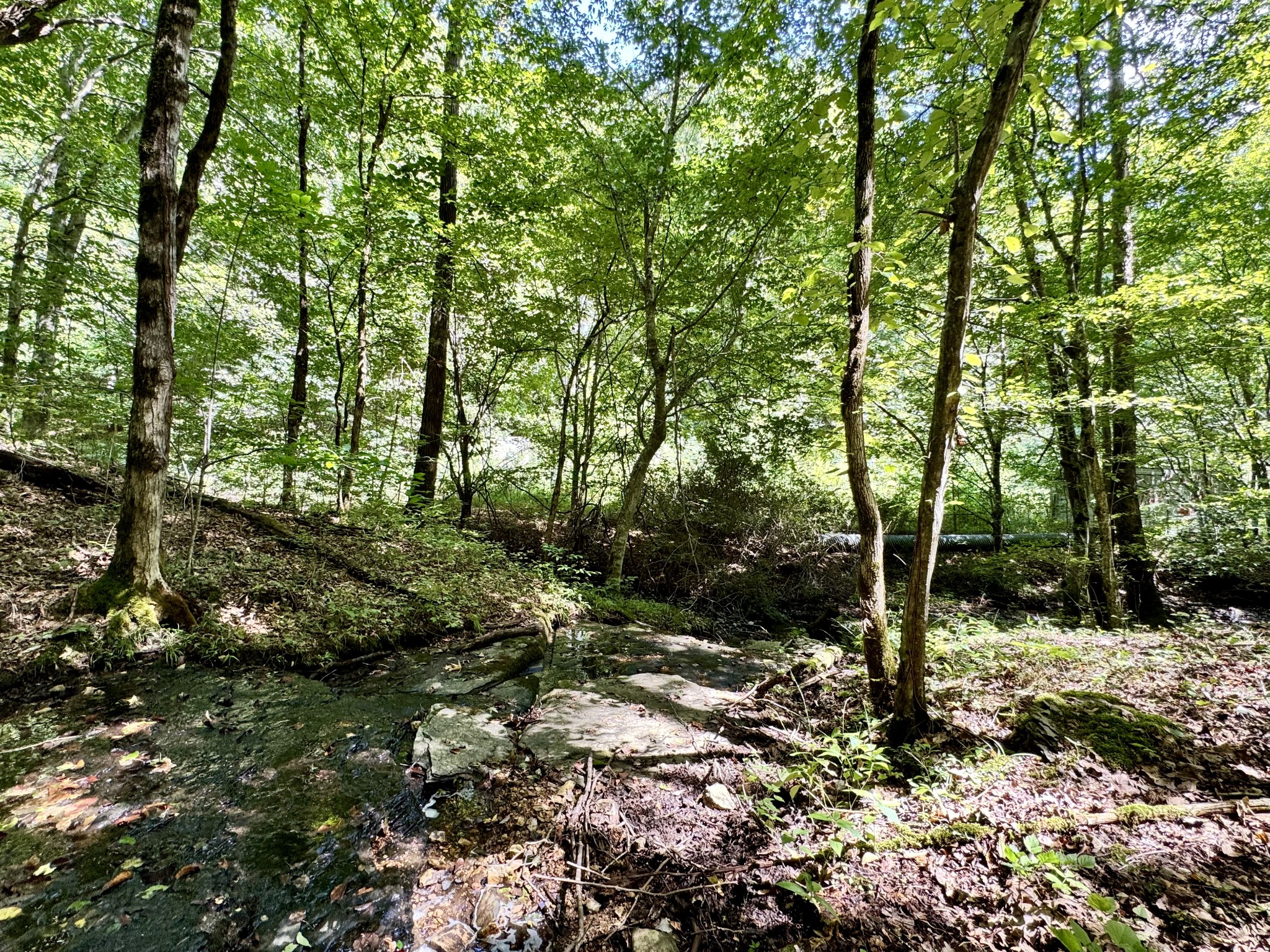 3261 Waterfall Creek Rd Property Photo 15