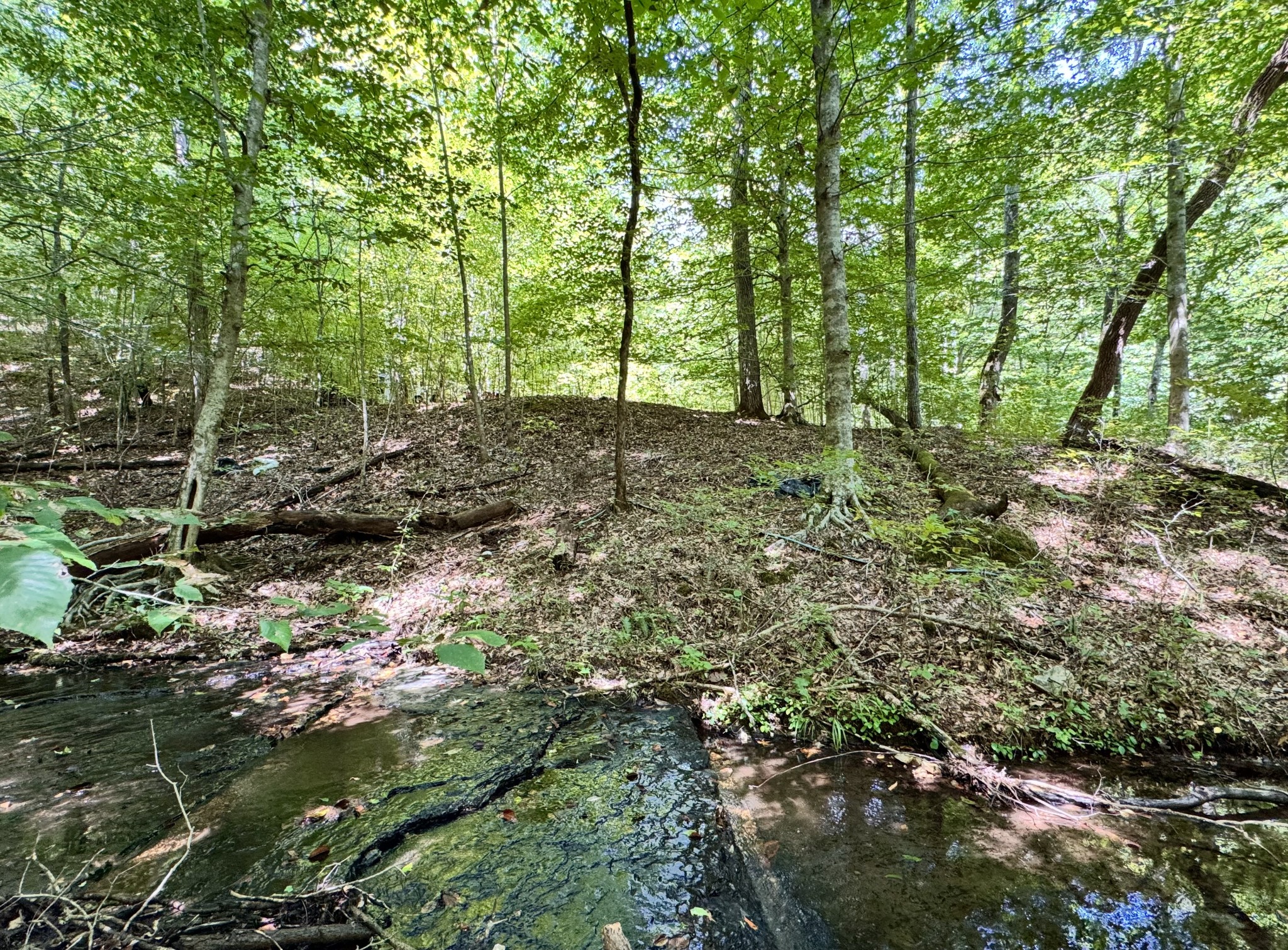 3261 Waterfall Creek Rd Property Photo 16