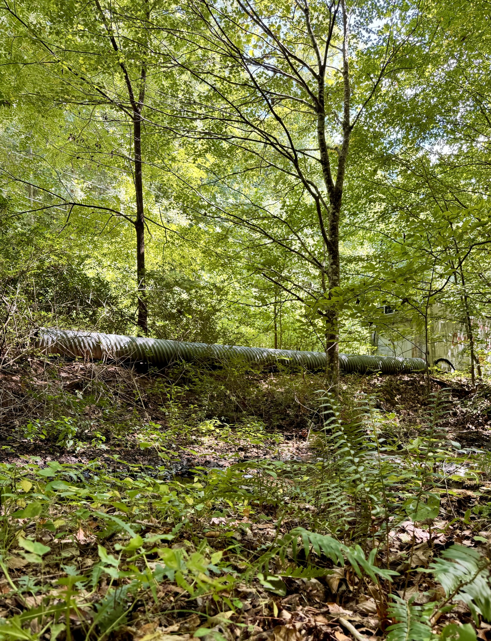 3261 Waterfall Creek Rd Property Photo 29