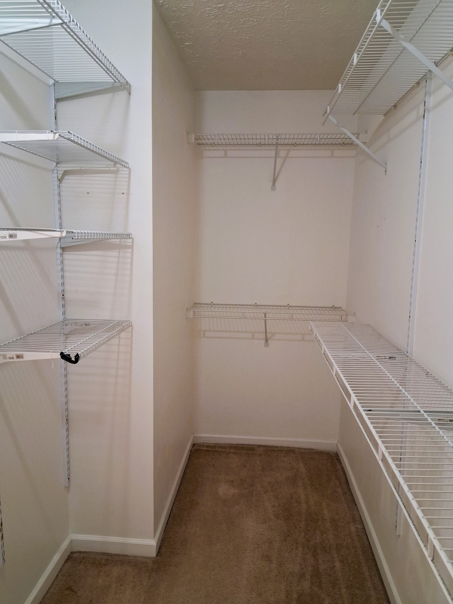 108 Trail Ridge Dr Property Photo 19