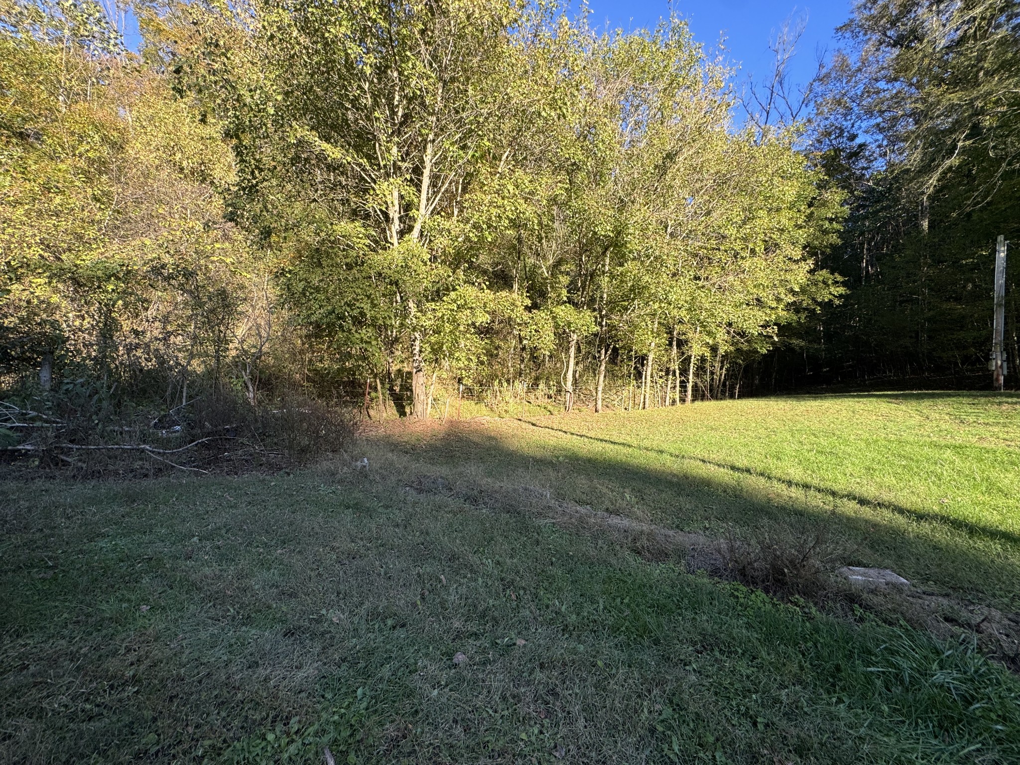 1301 S Fork Rd Property Photo 3