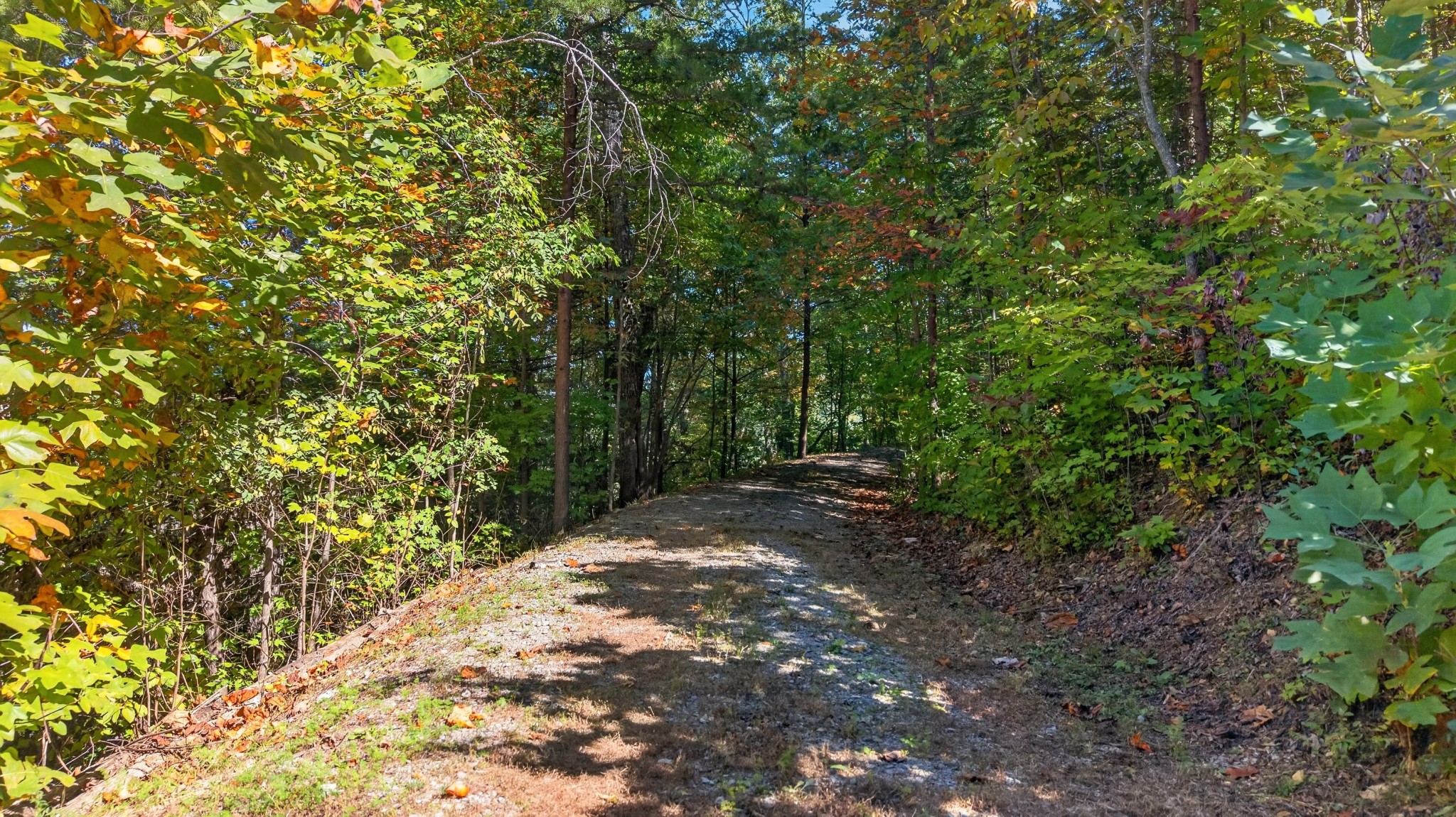 4476 Whetstone Rd Property Photo 86