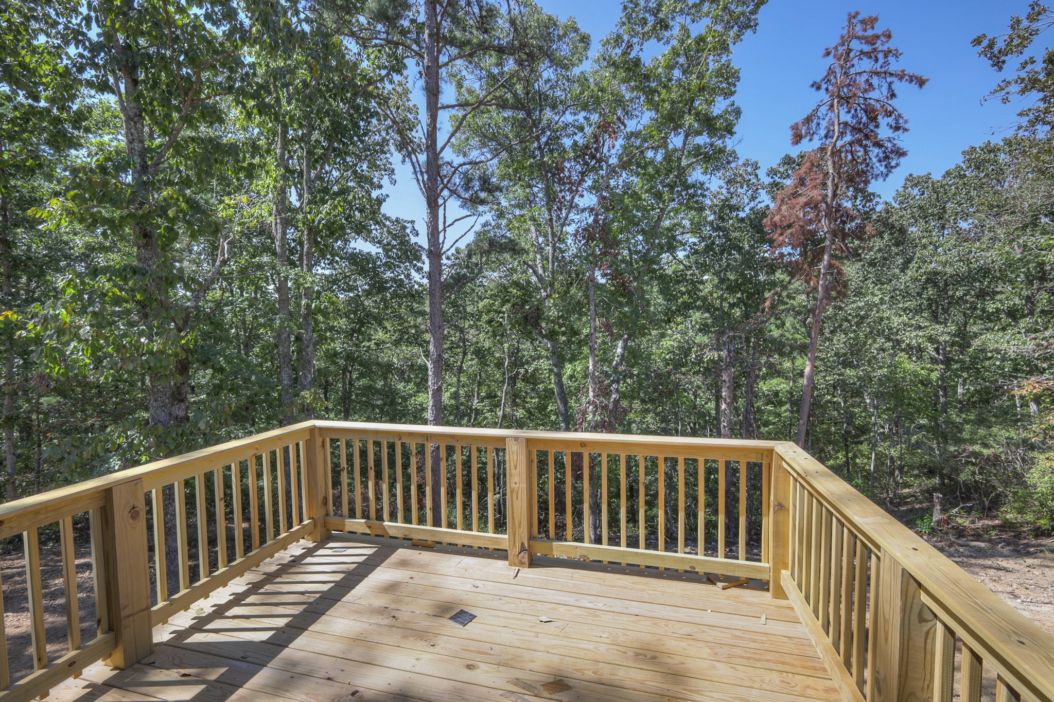 111 Bella Way Property Photo 3