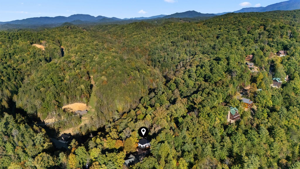 741 Ski View Ln Property Photo 45