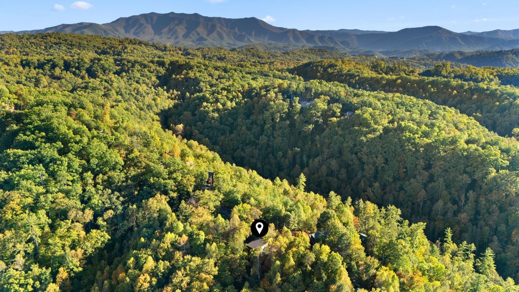 741 Ski View Ln Property Photo 46
