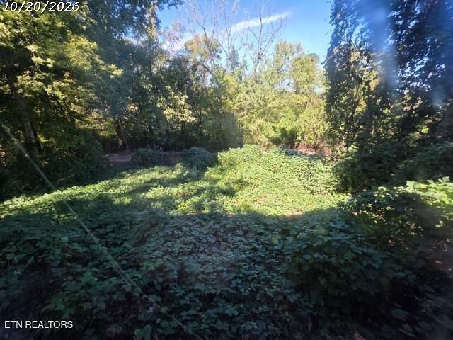 520 Burns Rd Property Photo 14