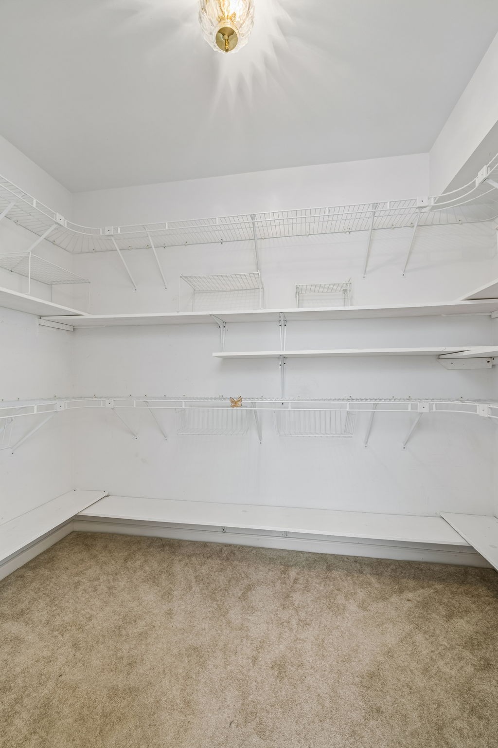 9000 Dandelion Dr Property Photo 18