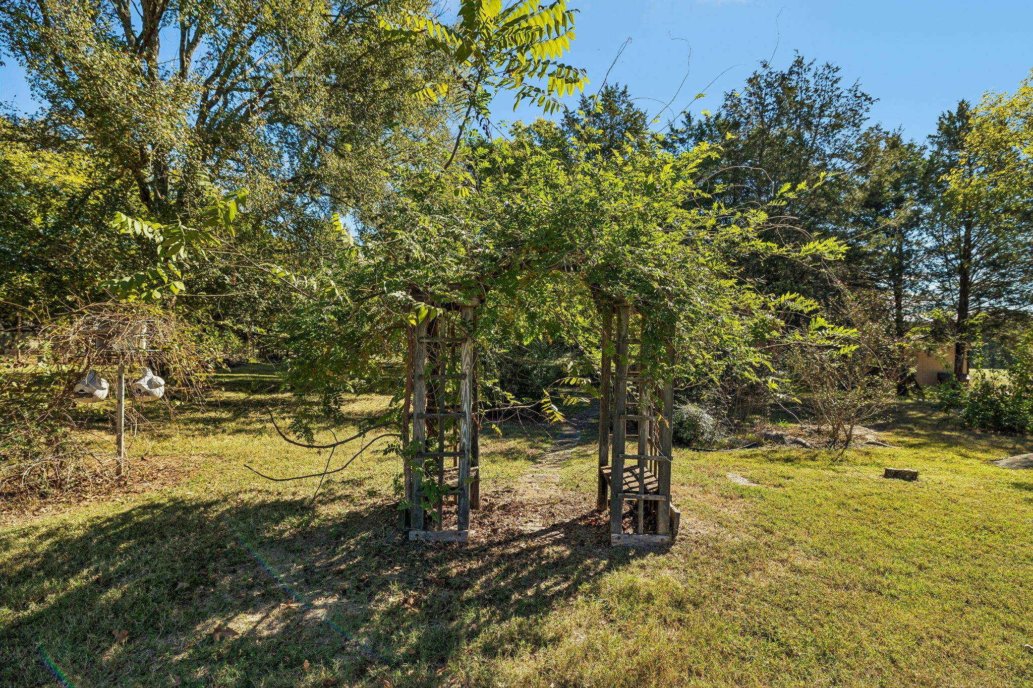 9000 Dandelion Dr Property Photo 34