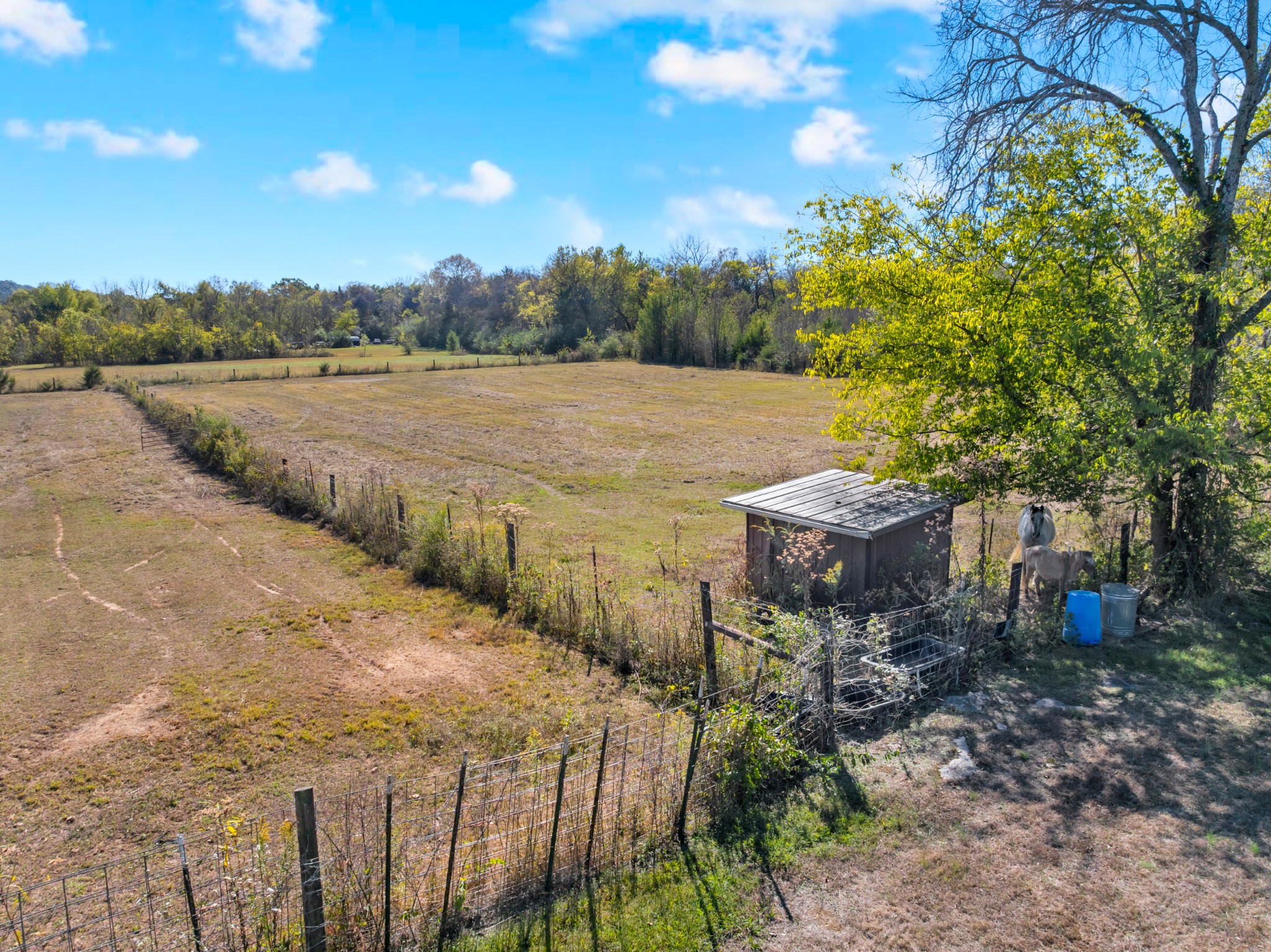 2686 Hwy 64, E Property Photo 11