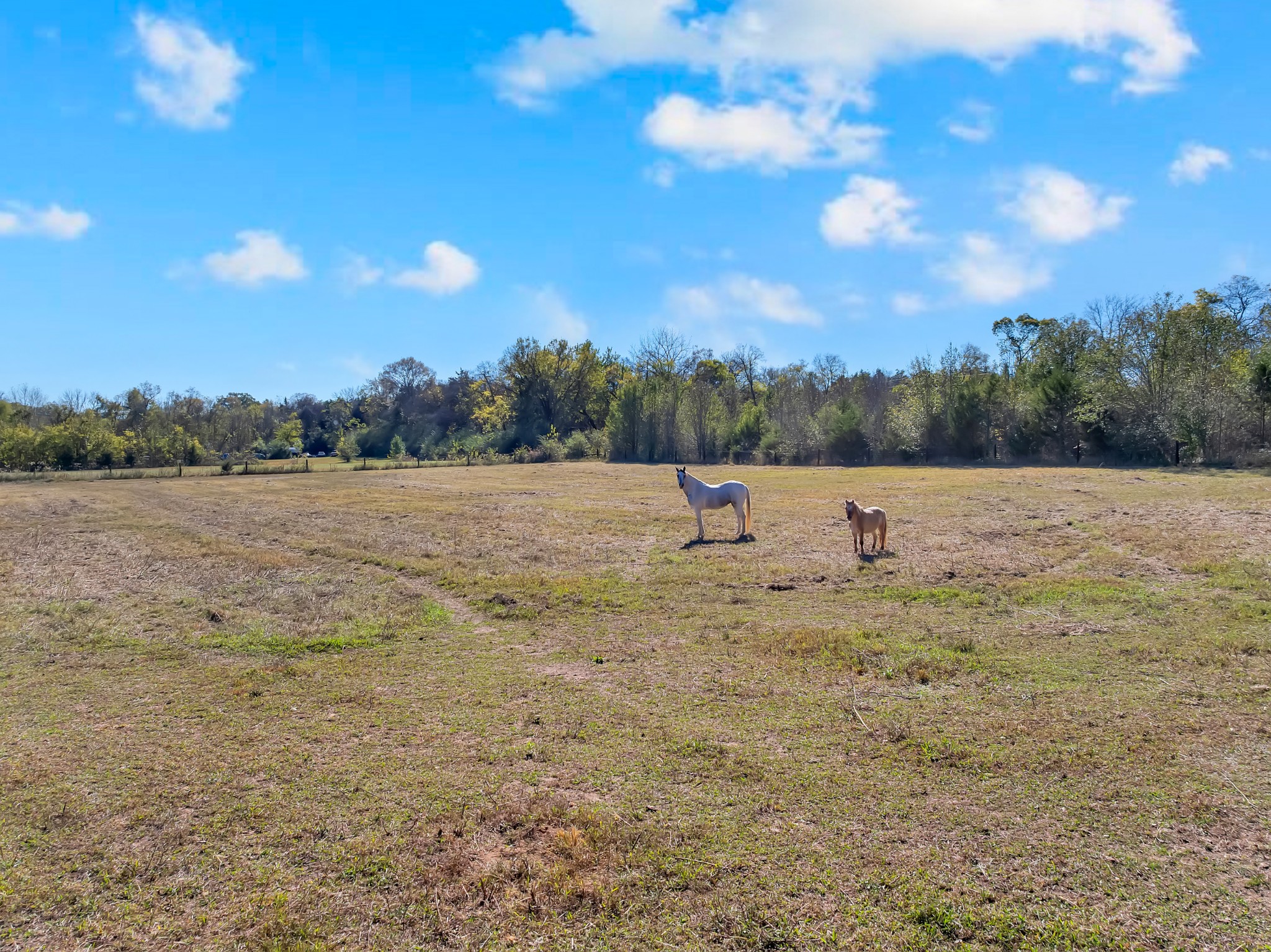 2686 Hwy 64, E Property Photo 37