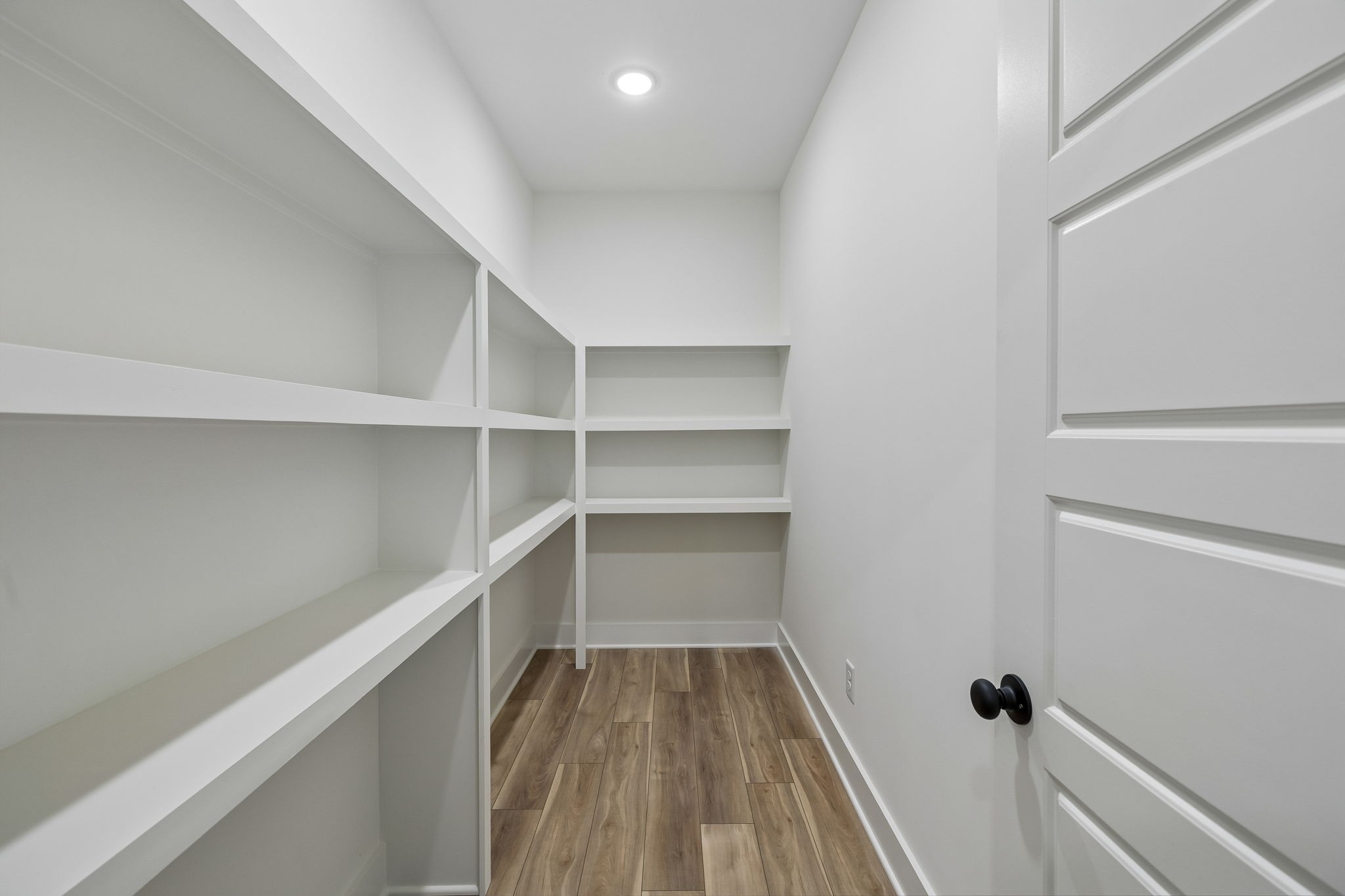 176 Magnolia Springs Way Property Photo 17