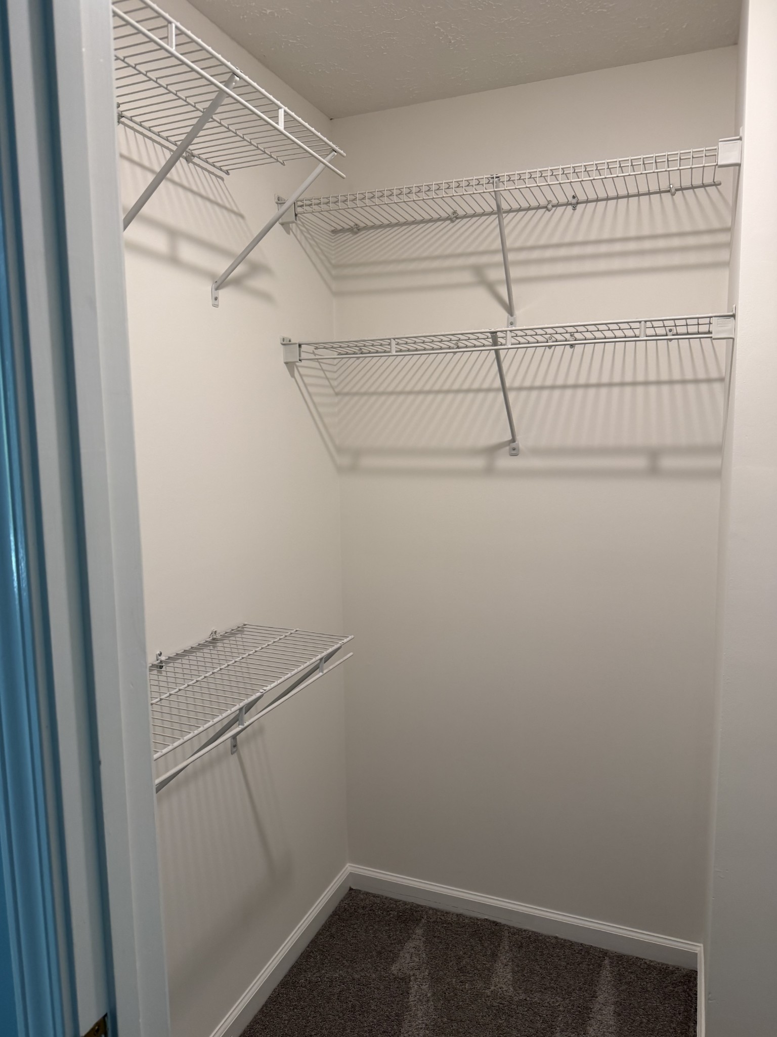 442 Flintlock Ct Property Photo 15