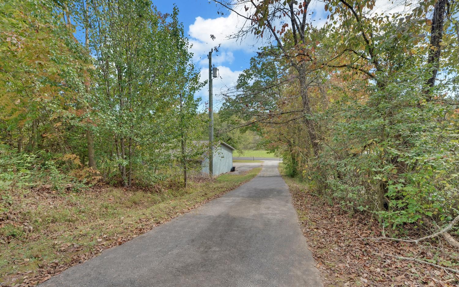 251 Maltby Rd Property Photo 7
