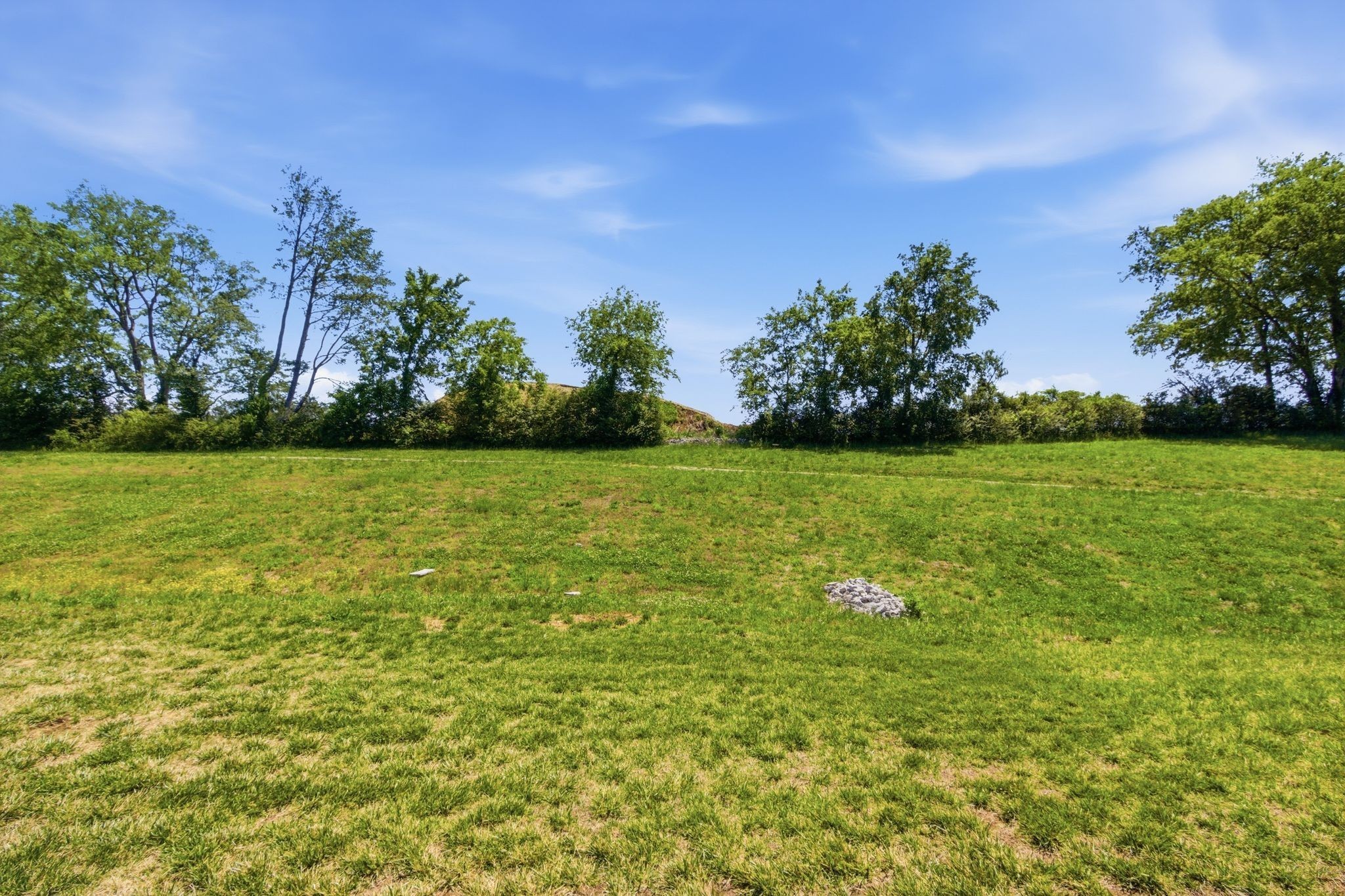1140 June Wilde Rdg Property Photo 36