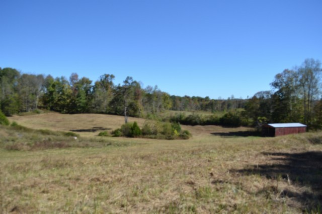 110 Bob Dennings Rd Property Photo 1