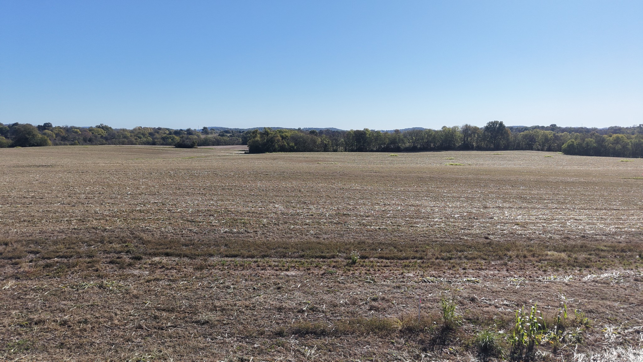 285 Littleton Ranch Estates Pvt Ln Property Photo 1