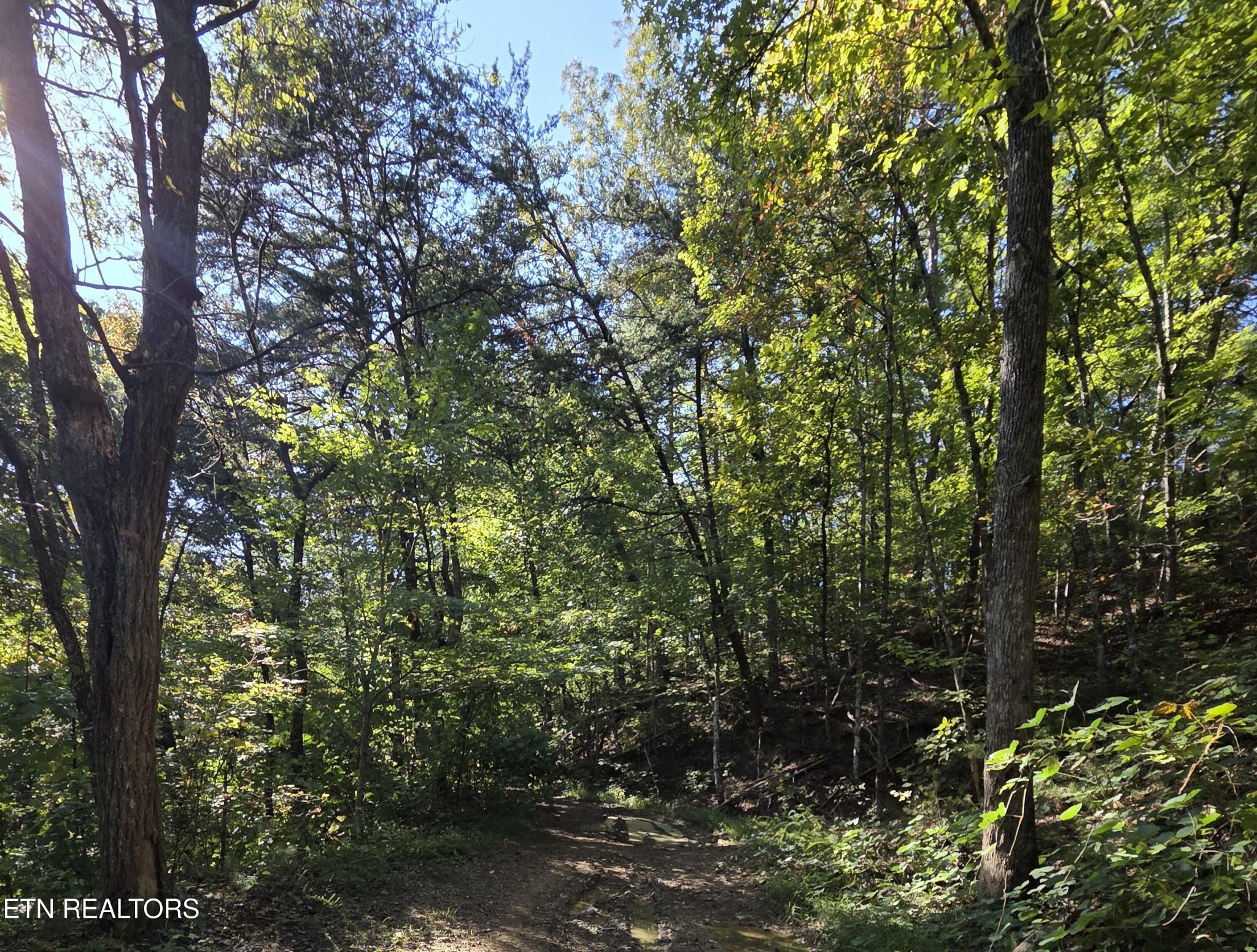 98 Redbud Lane Property Photo 1