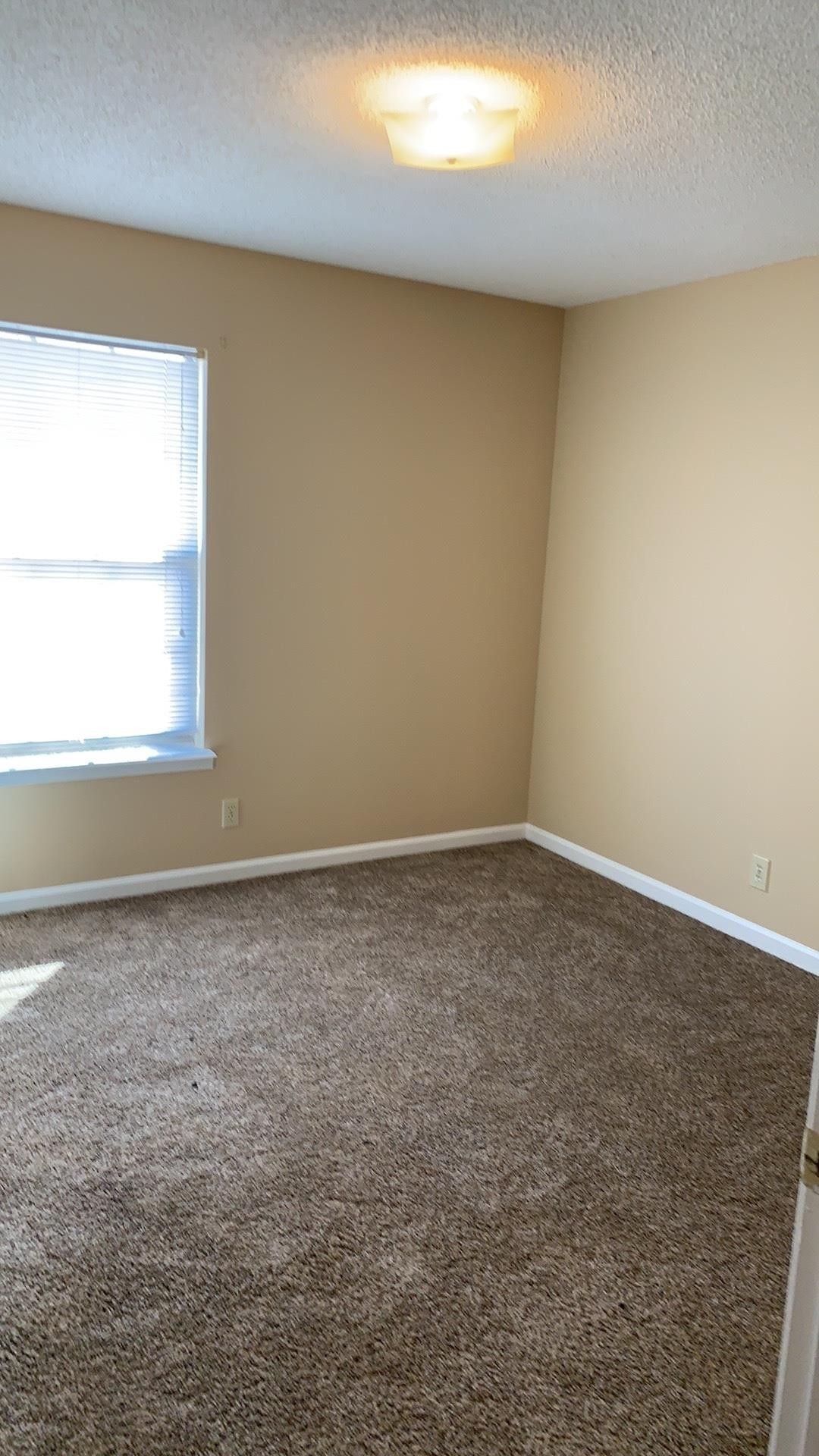 111 Hickory Trace Property Photo 7